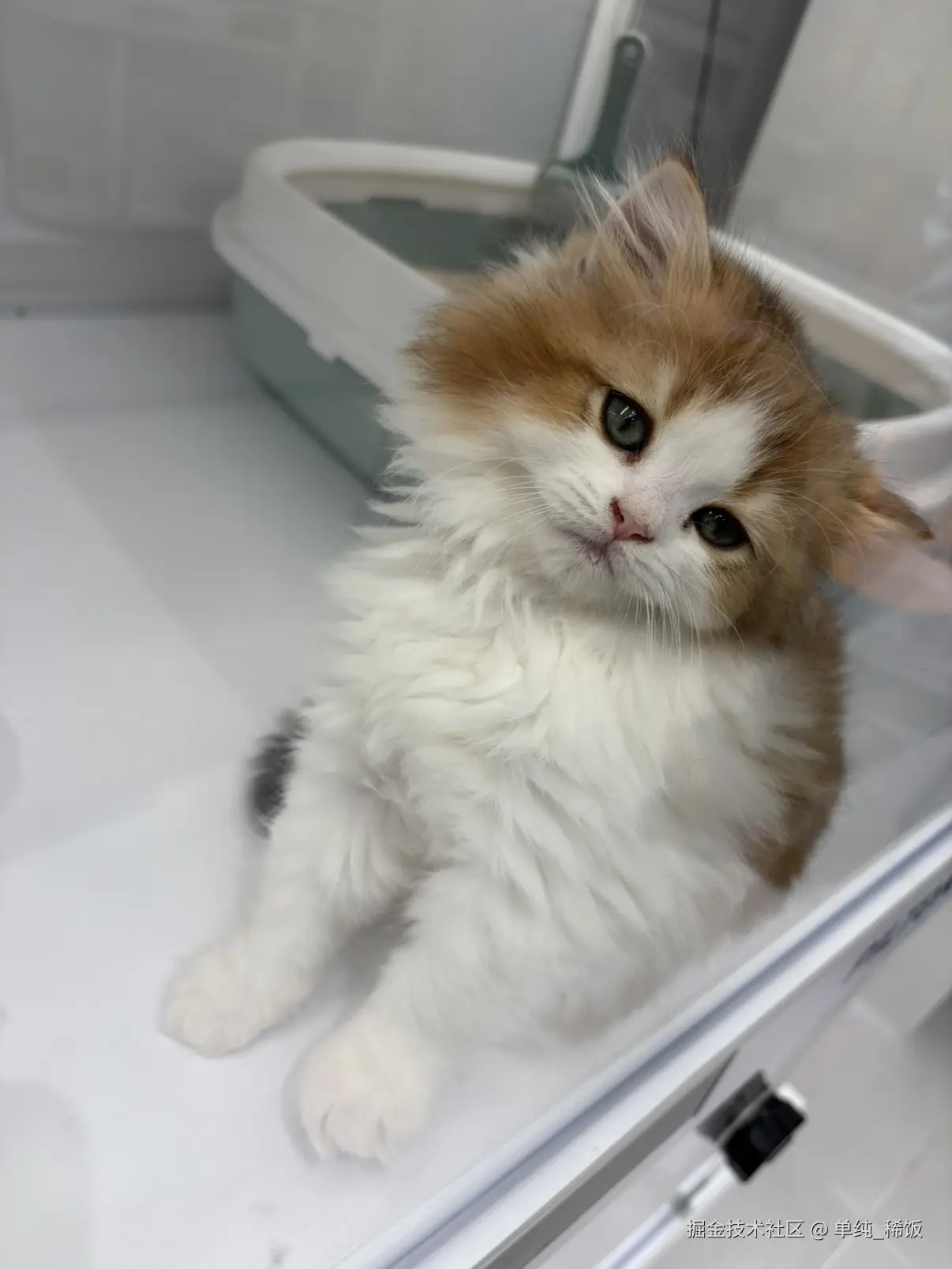 单纯_稀饭于2026-03-11 07:18发布的图片