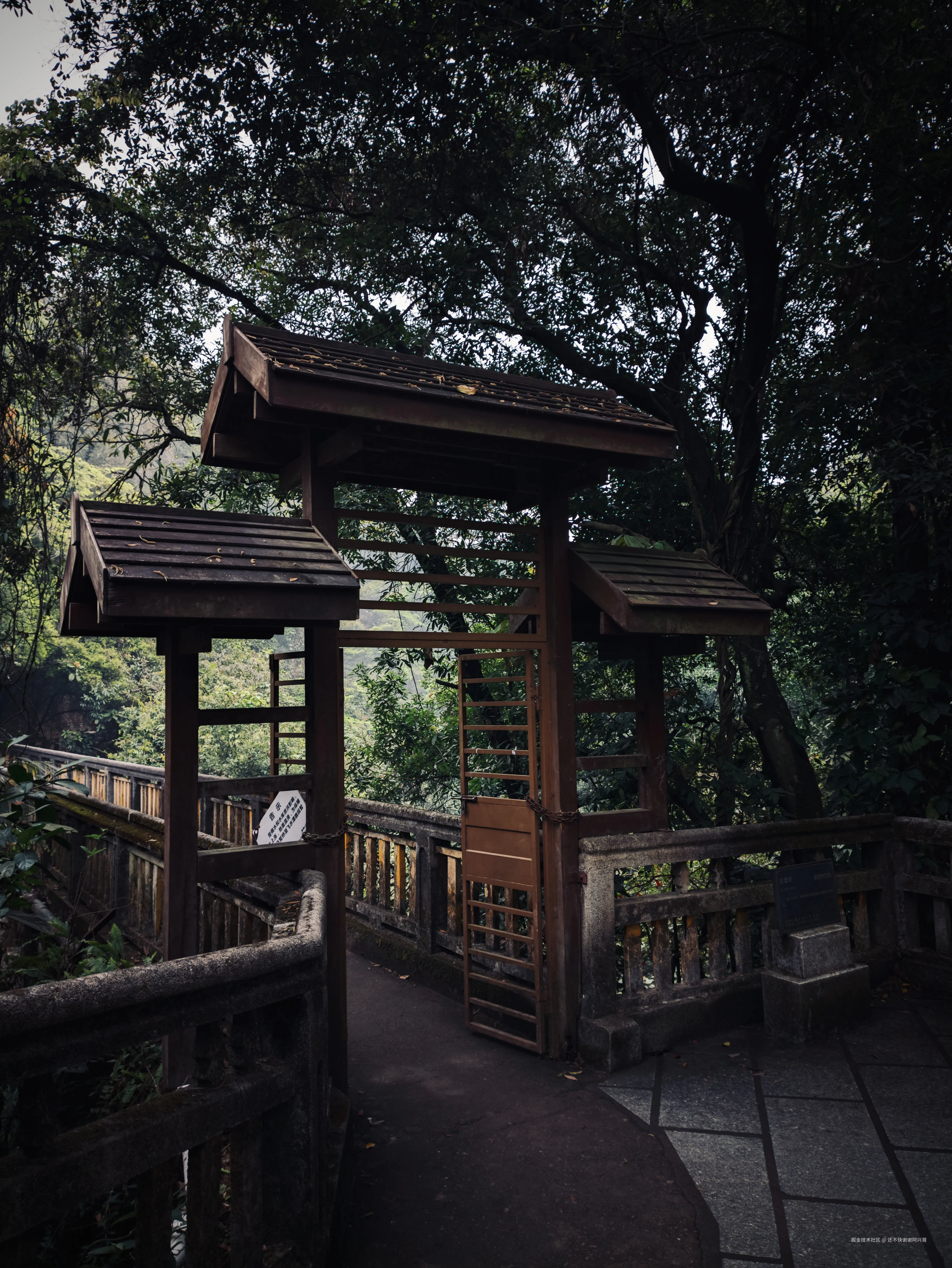 还不快谢谢阿兴哥于2025-04-07 11:14发布的图片