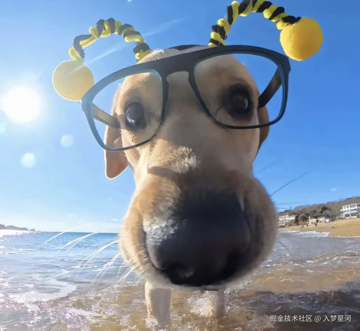 入梦星河于2024-12-25 12:42发布的图片