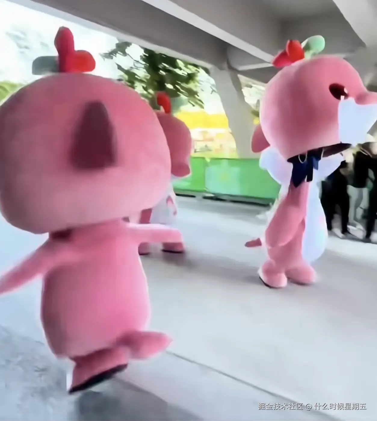 什么时候星期五于2025-11-11 16:35发布的图片