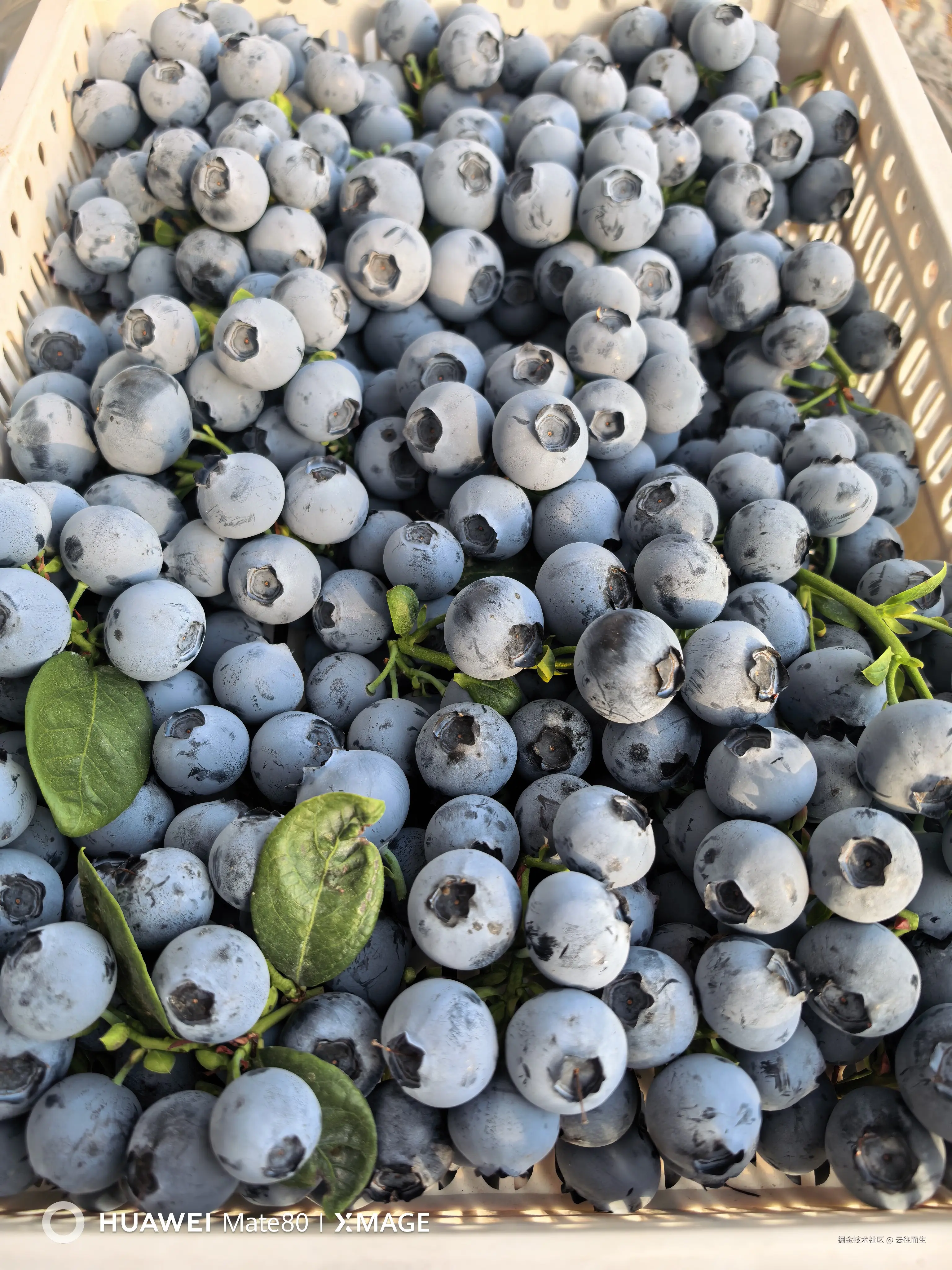 云往而生于2026-02-26 17:15发布的图片