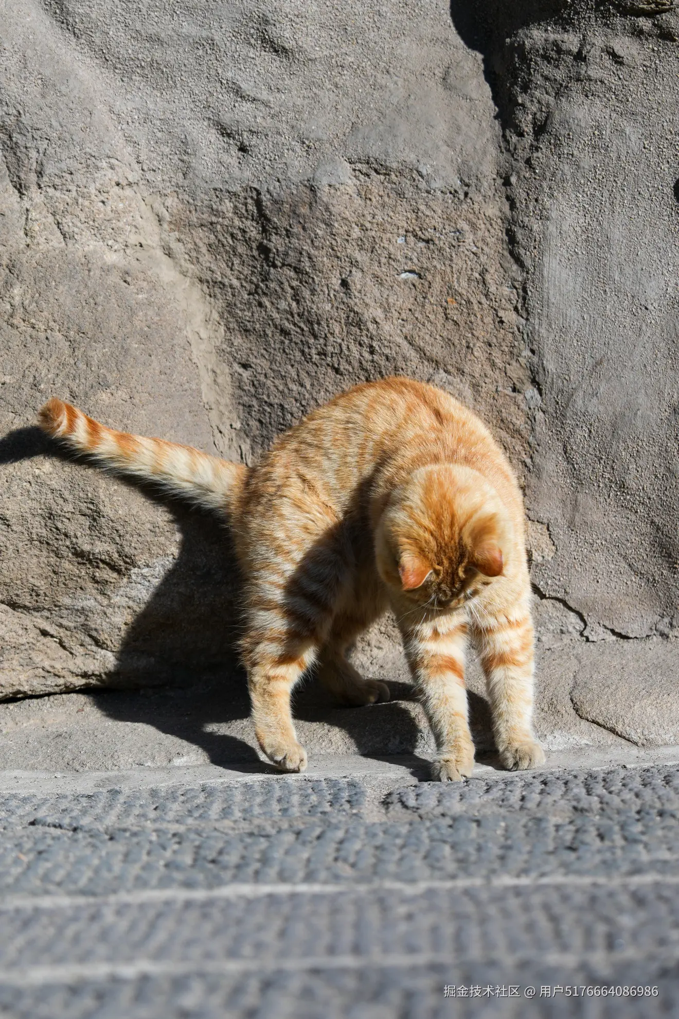 用户5176664086986于2026-02-24 13:49发布的图片