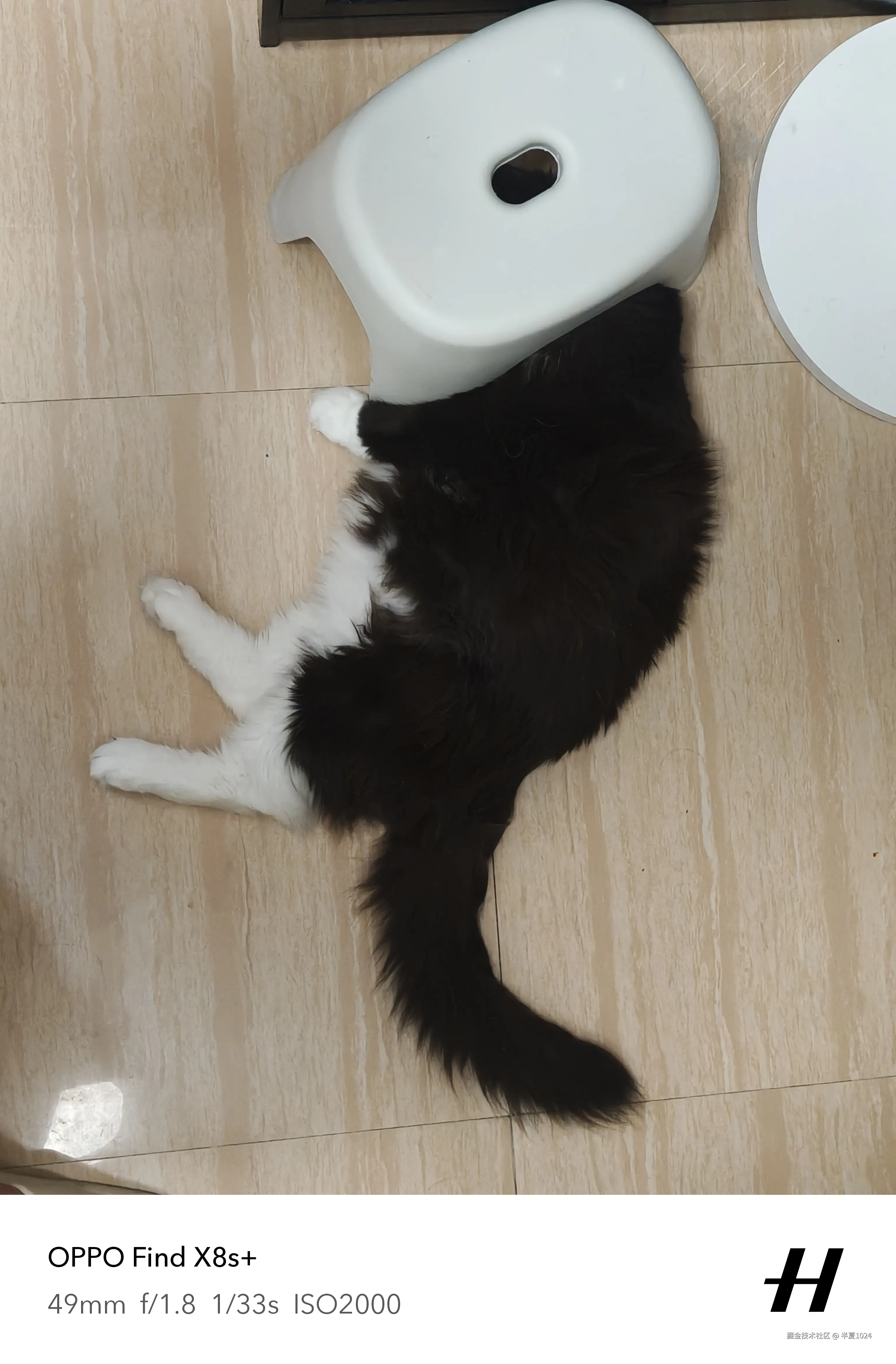 半夏1024于2025-09-05 15:57发布的图片