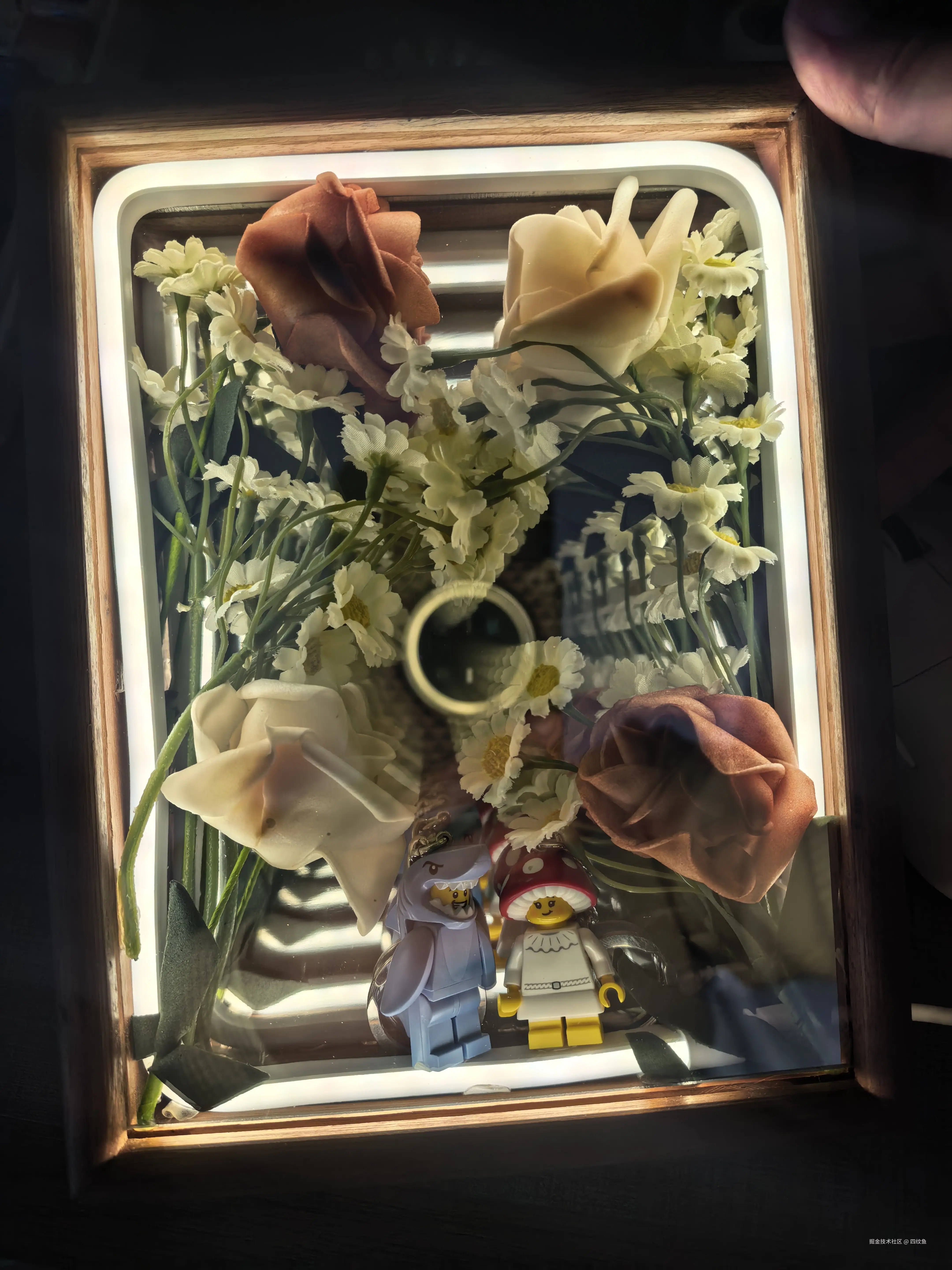 四纹鱼于2026-04-08 11:31发布的图片