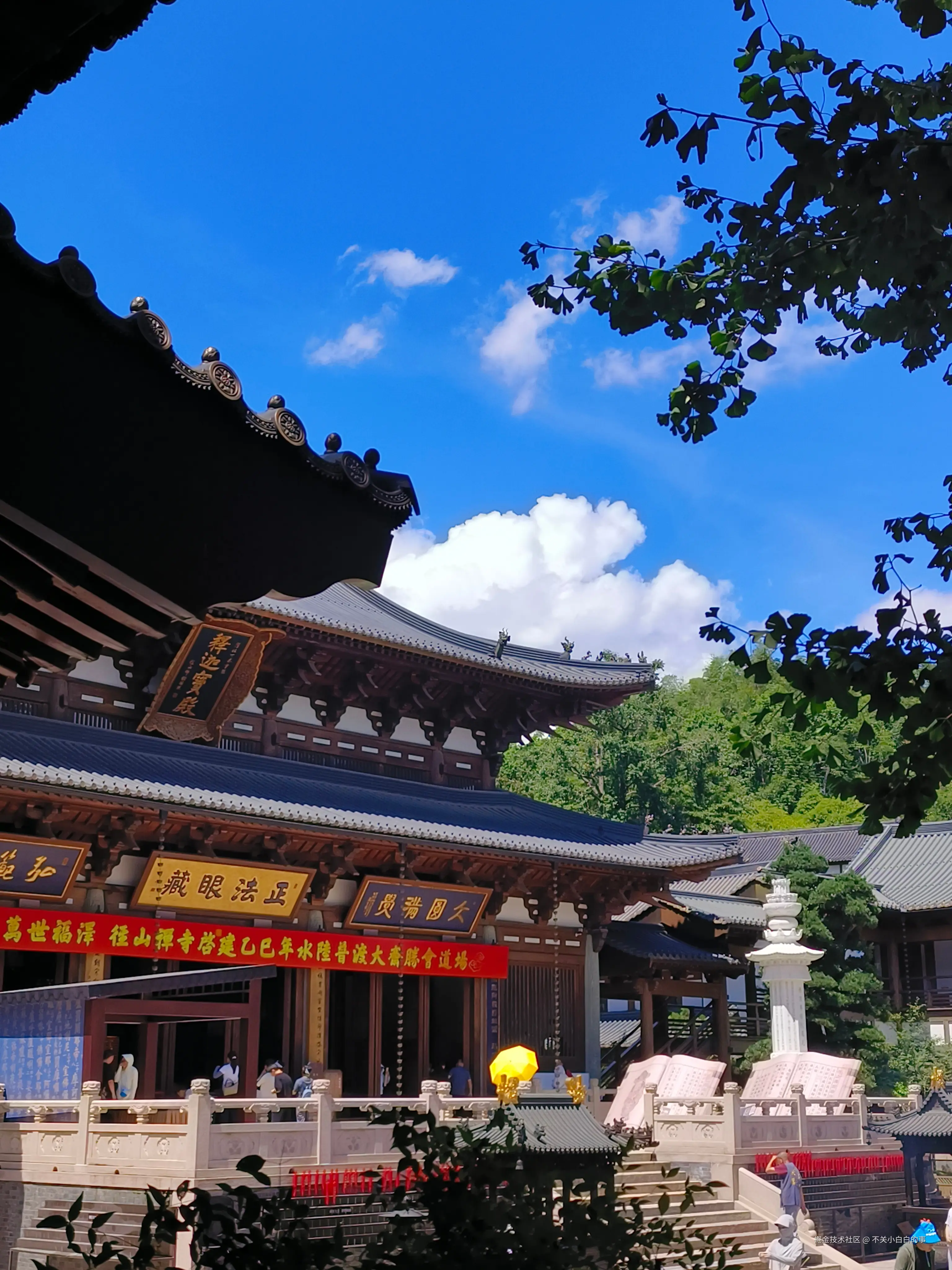 不关小白白的事于2025-08-25 15:39发布的图片