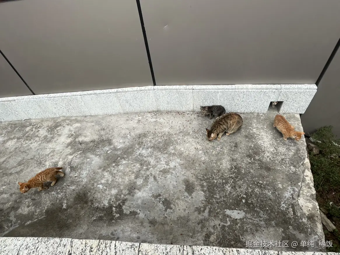 单纯_稀饭于2024-11-19 13:04发布的图片