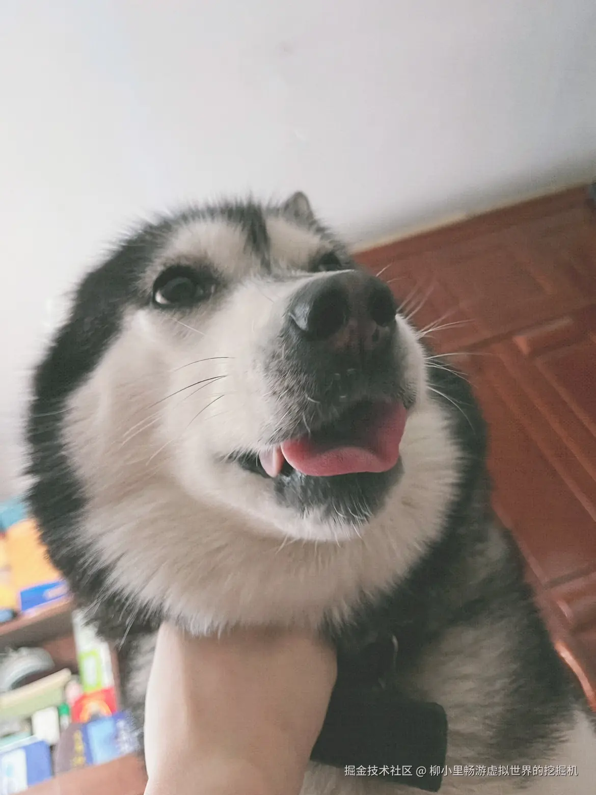 柳小里畅游虚拟世界的挖掘机于2025-11-27 10:58发布的图片