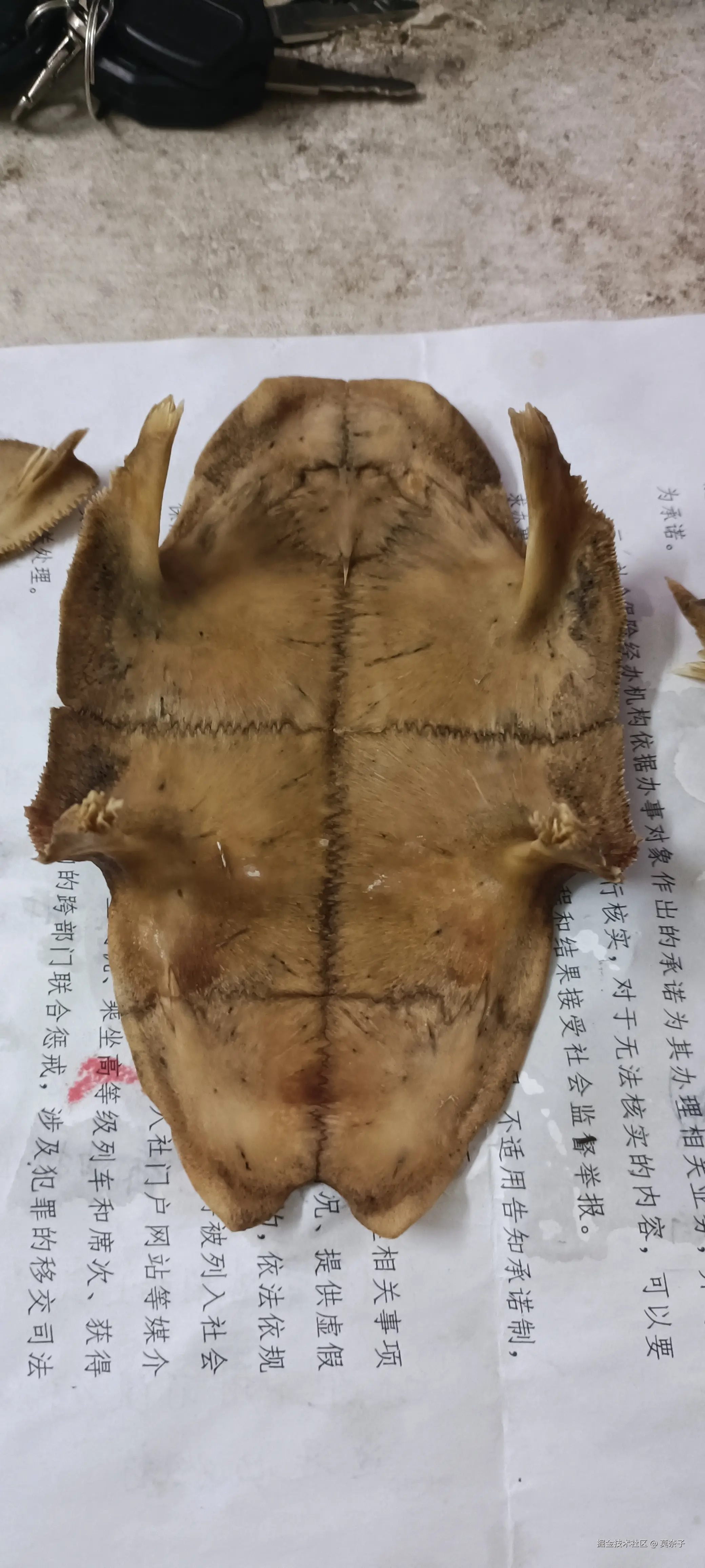 莫奈子于2025-07-15 22:52发布的图片