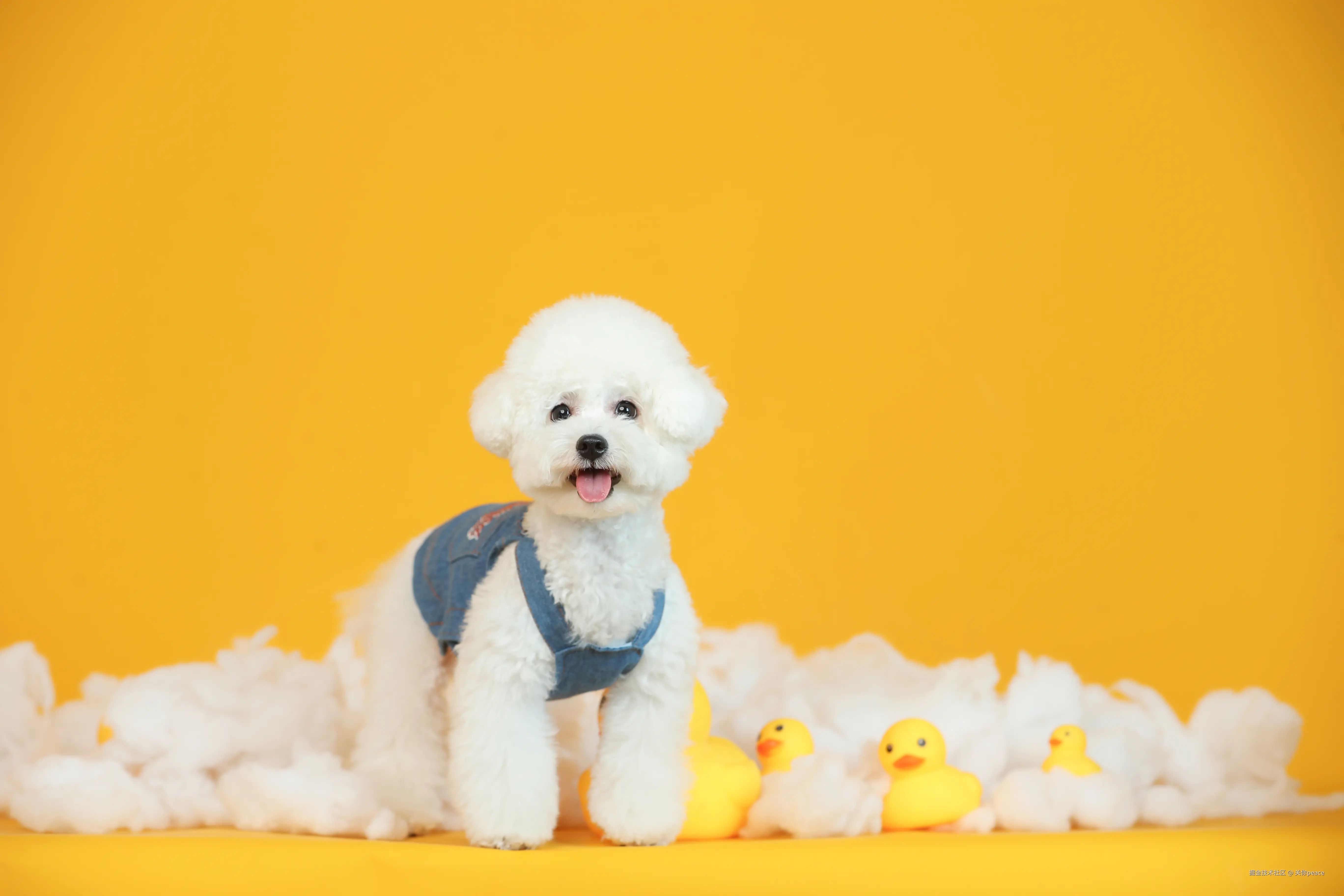 关你peace于2024-10-14 15:59发布的图片