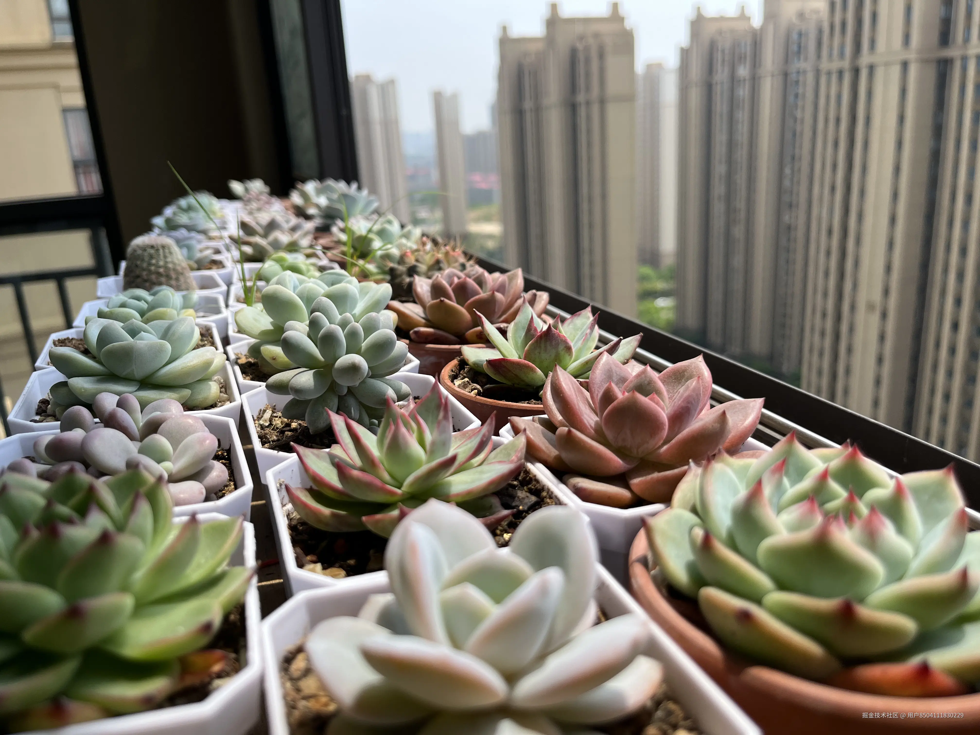 用户8504111830229于2025-03-31 10:40发布的图片