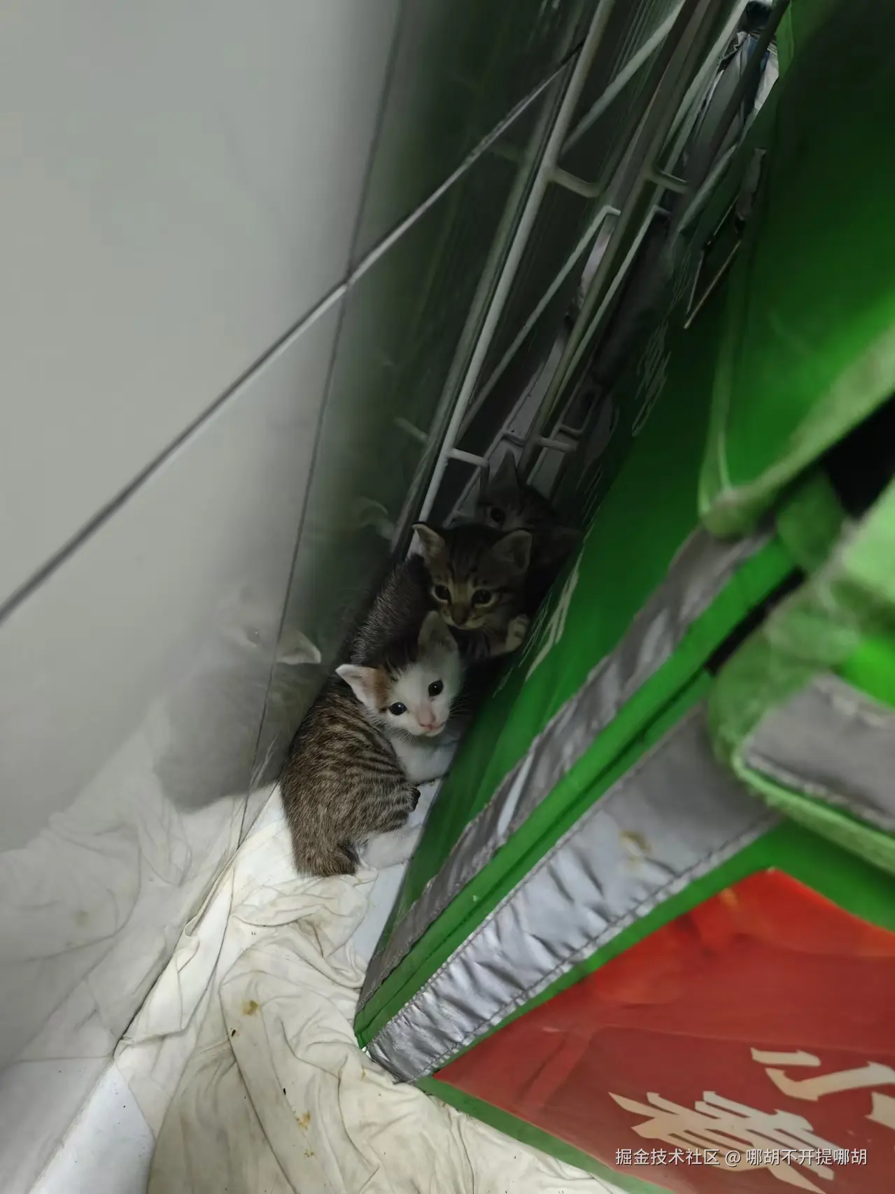 哪胡不开提哪胡于2024-11-26 09:46发布的图片