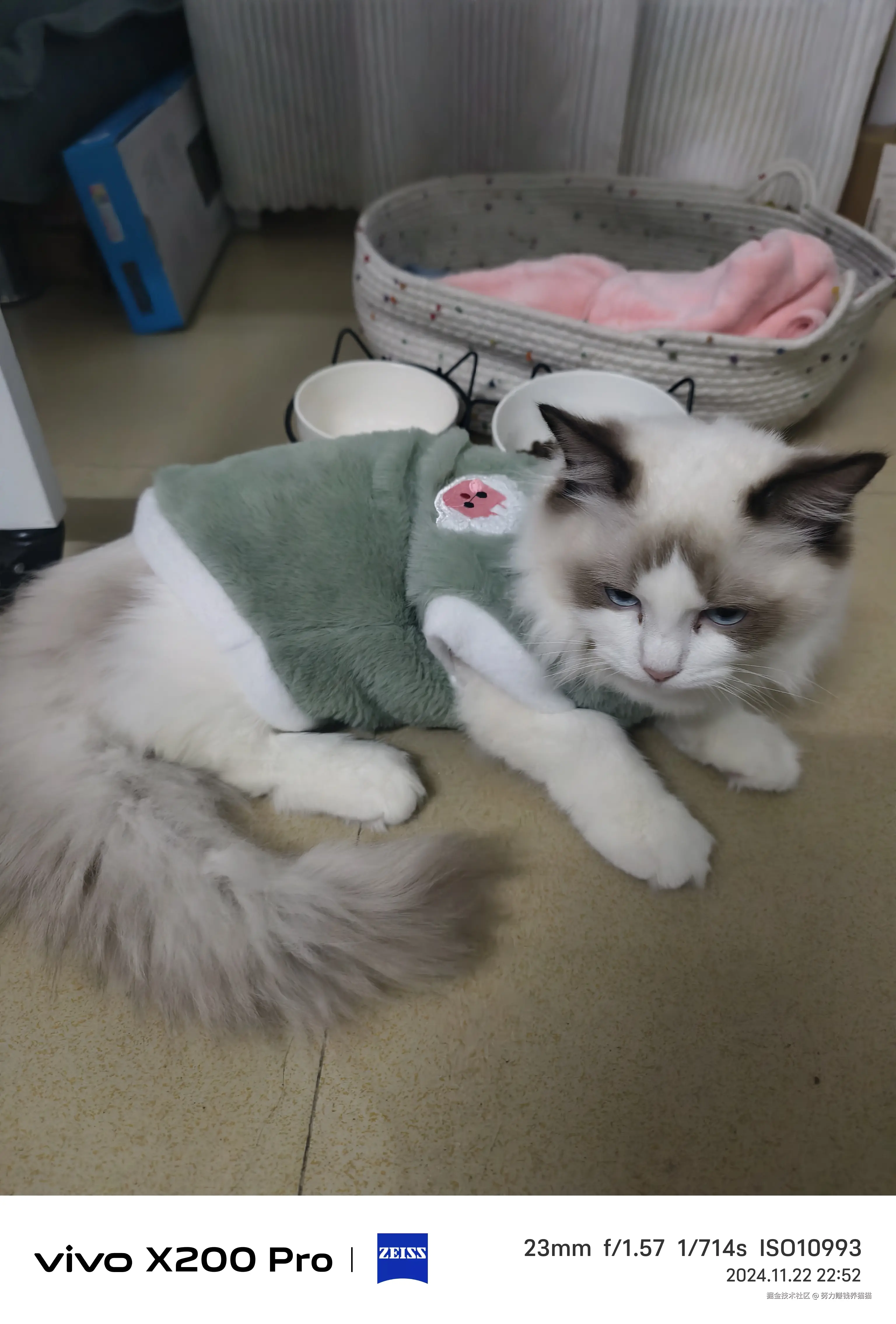 努力赚钱养猫猫于2024-11-23 10:11发布的图片