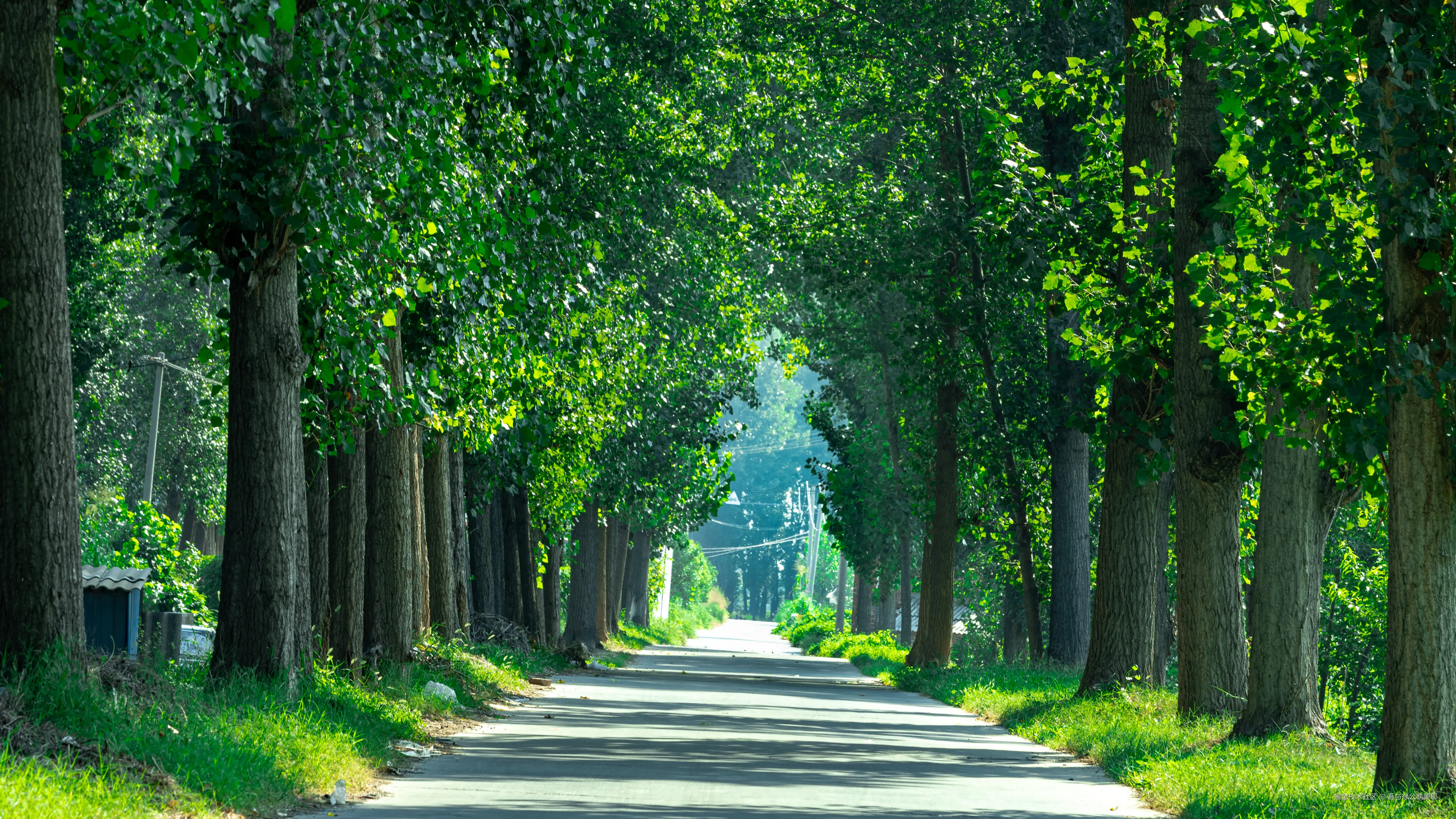 吾与徐公孰美耶于2024-08-29 15:21发布的图片