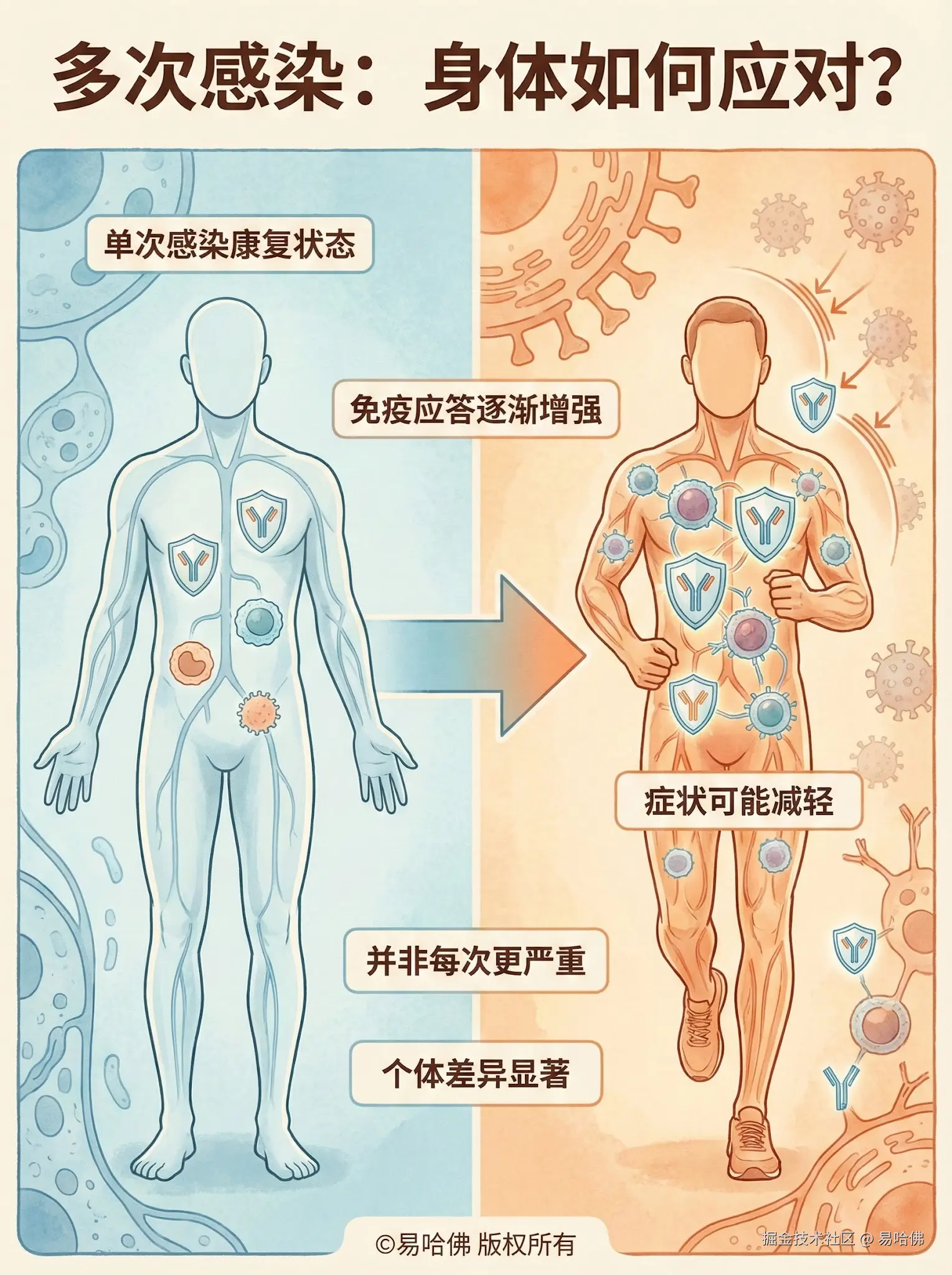 易哈佛于2026-01-02 22:18发布的图片
