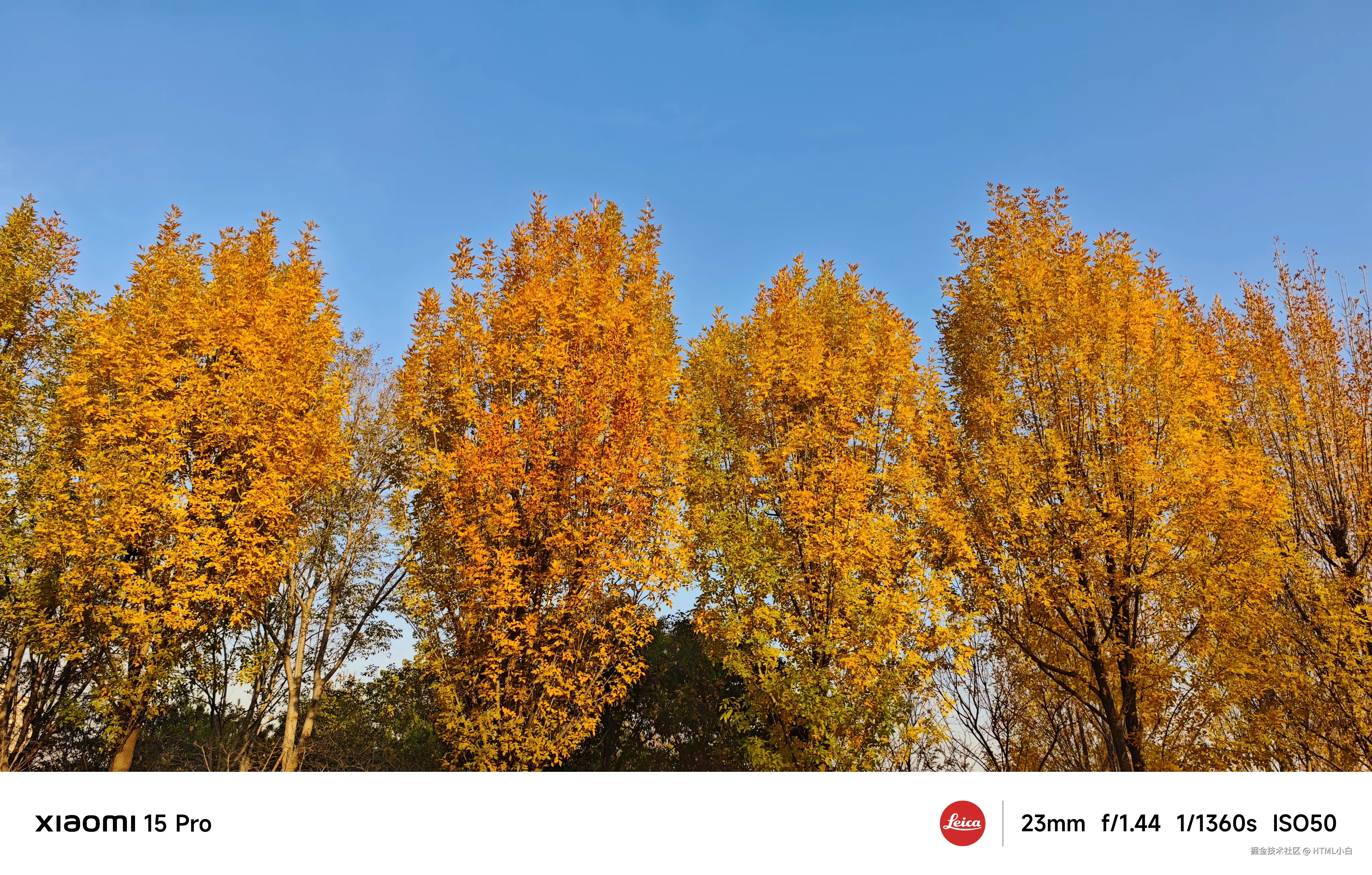 HTML小白于2025-11-03 10:31发布的图片