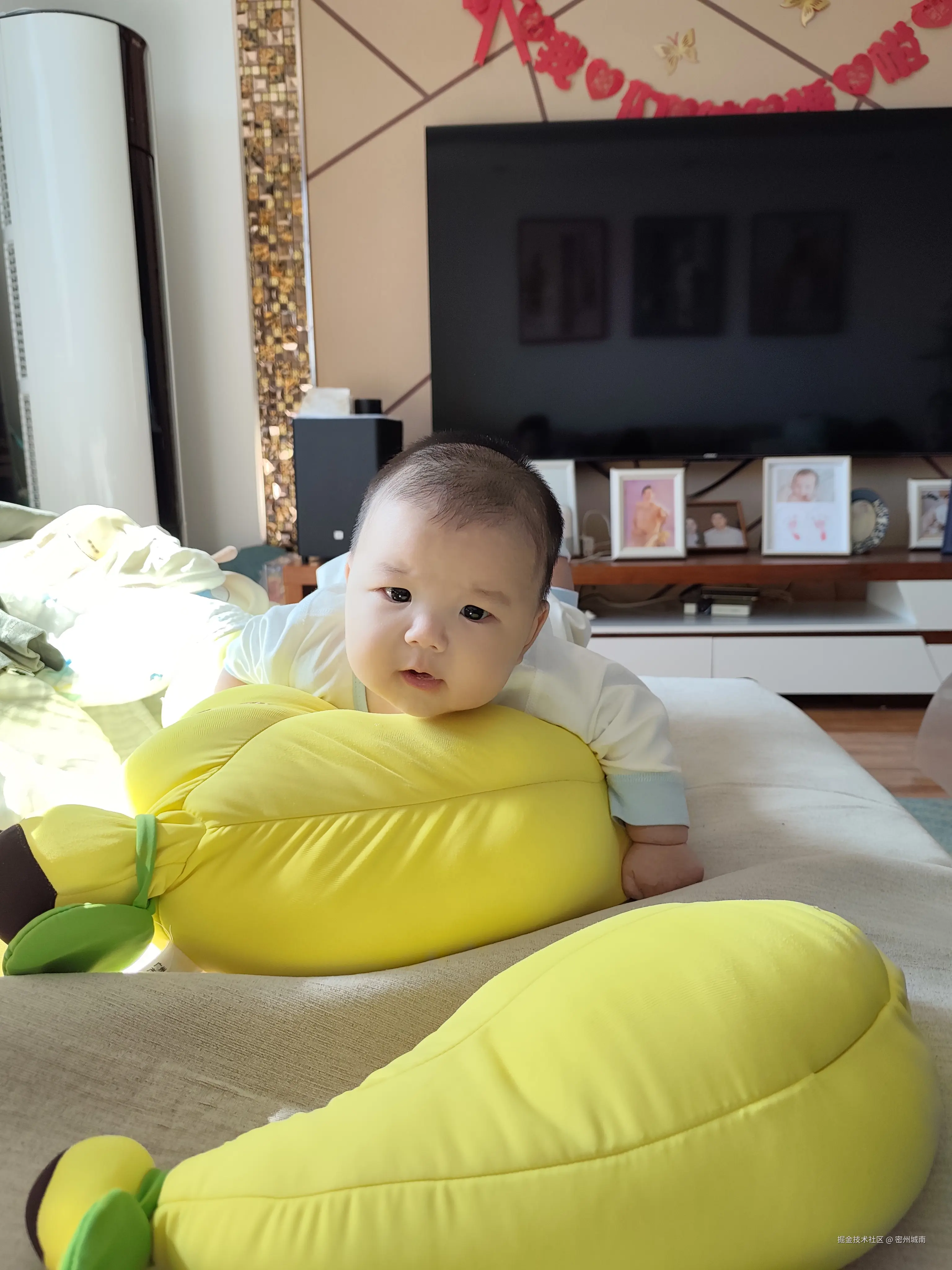 密州城南于2024-10-21 09:09发布的图片