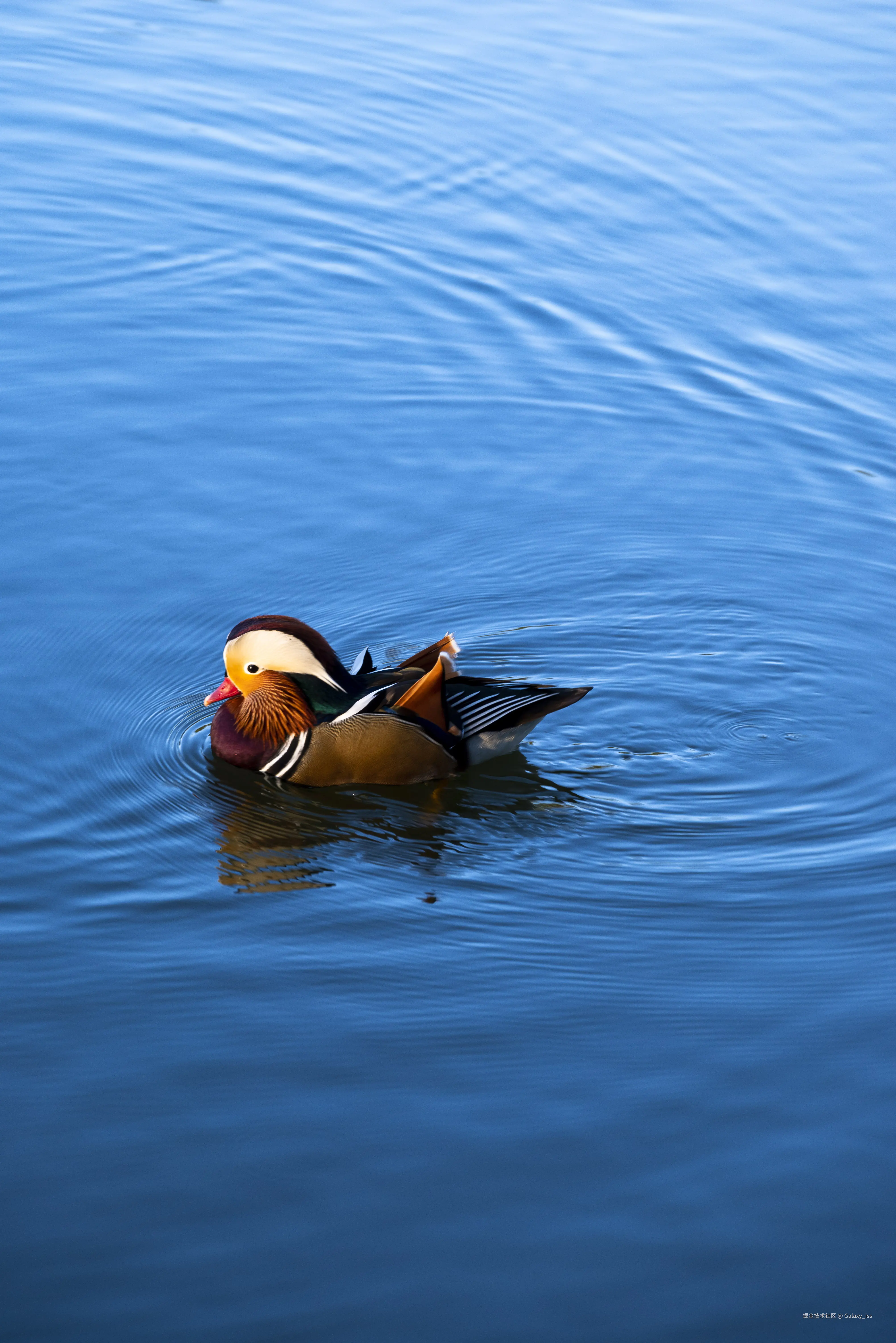 Galaxy_iss于2024-10-30 12:34发布的图片