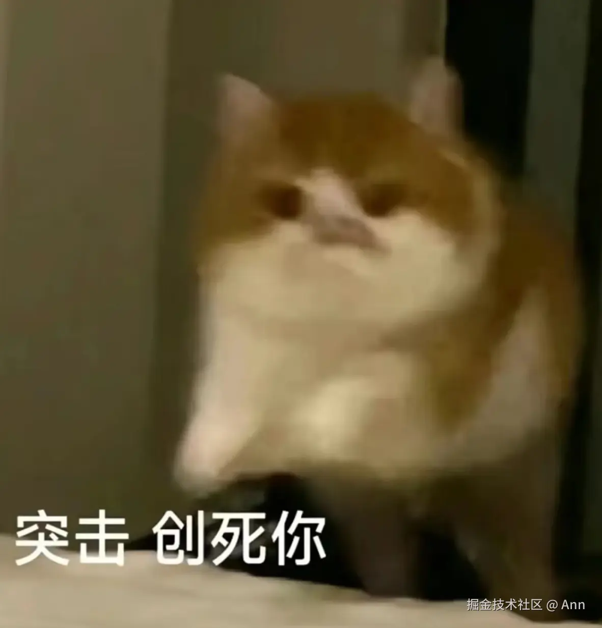 Ann于2024-11-20 08:31发布的图片