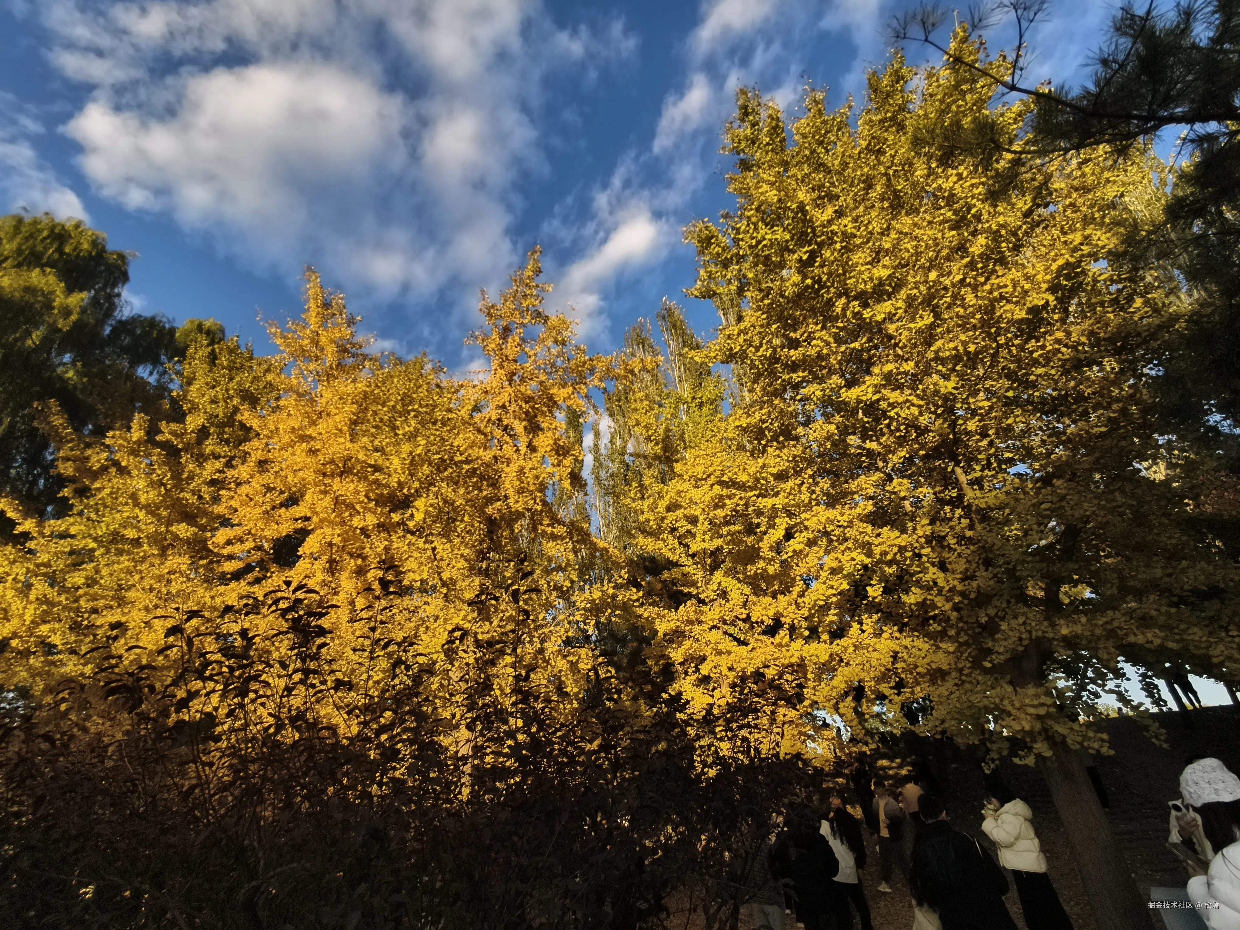 松潘于2025-11-03 09:53发布的图片