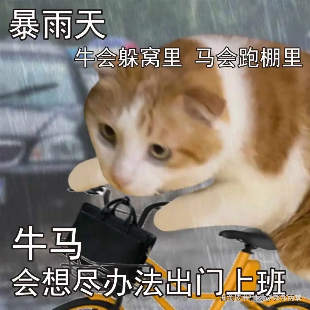 邦邦两拳于2024-11-01 10:10发布的图片