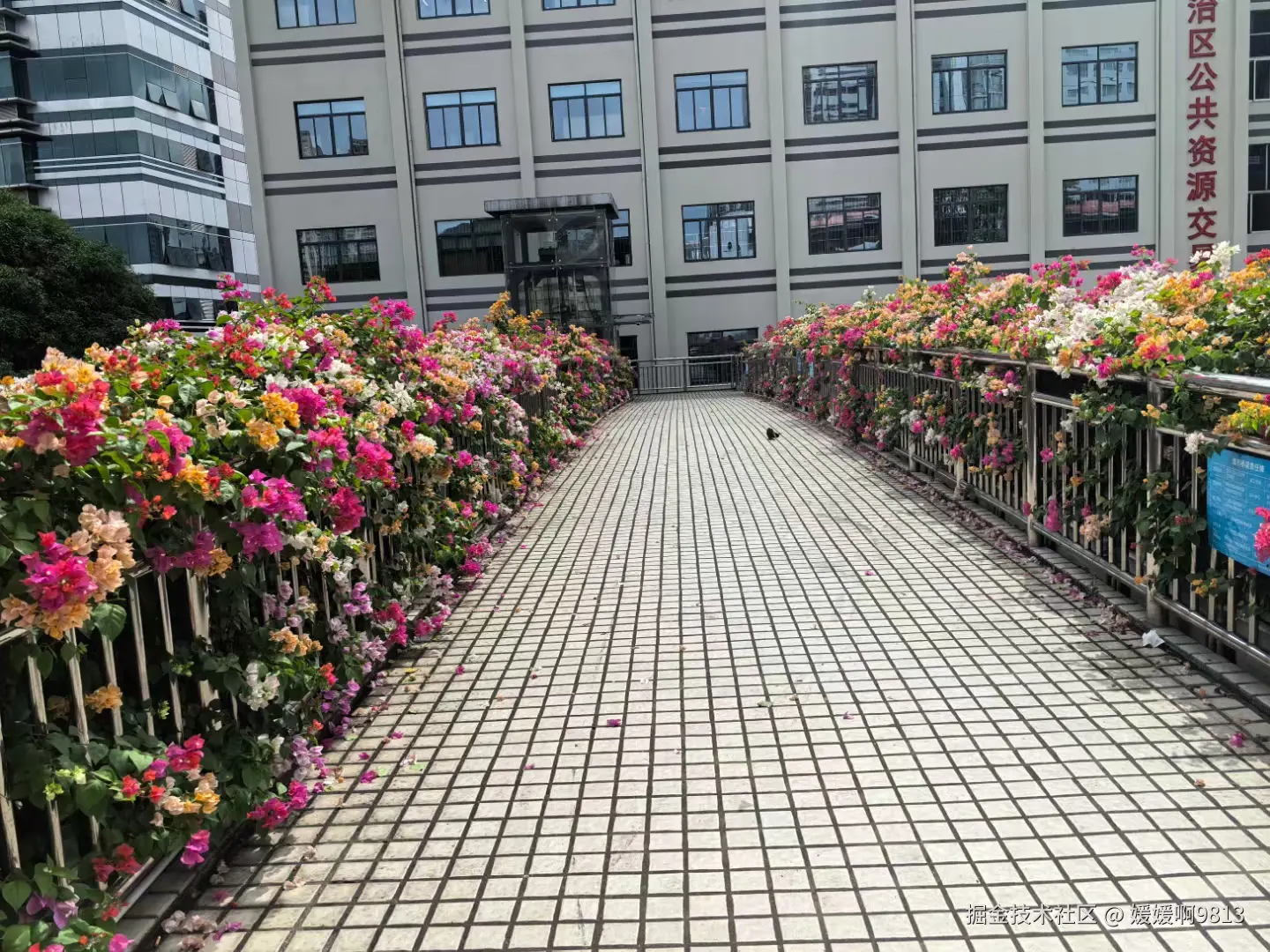 媛媛啊9813于2024-10-18 22:47发布的图片