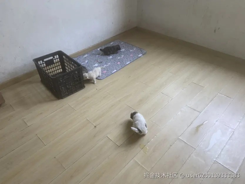 user6230139333383于2025-04-20 06:43发布的图片