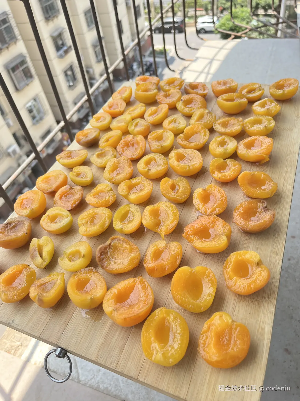 codeniu于2026-02-12 11:04发布的图片