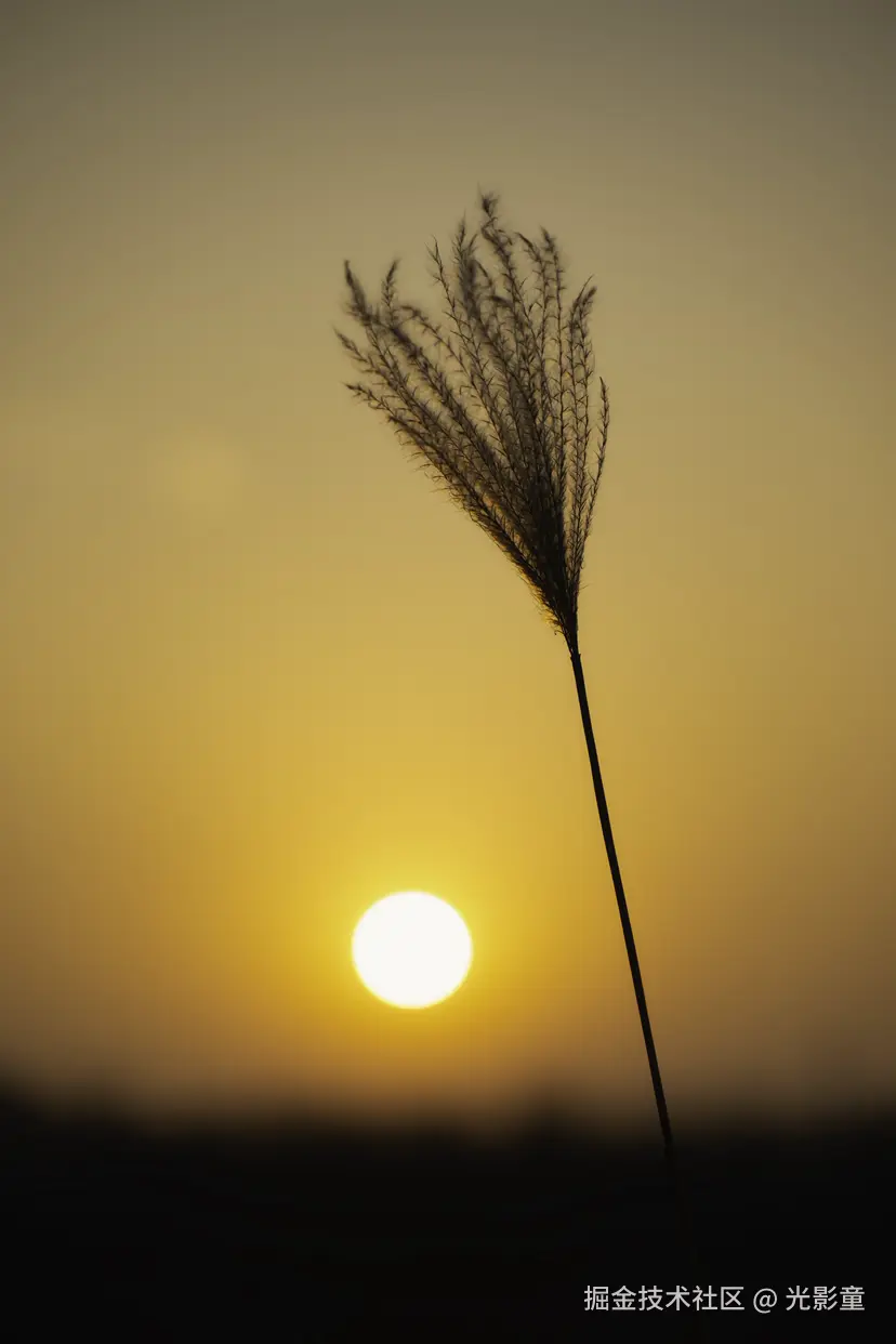 光影童于2026-01-09 08:15发布的图片