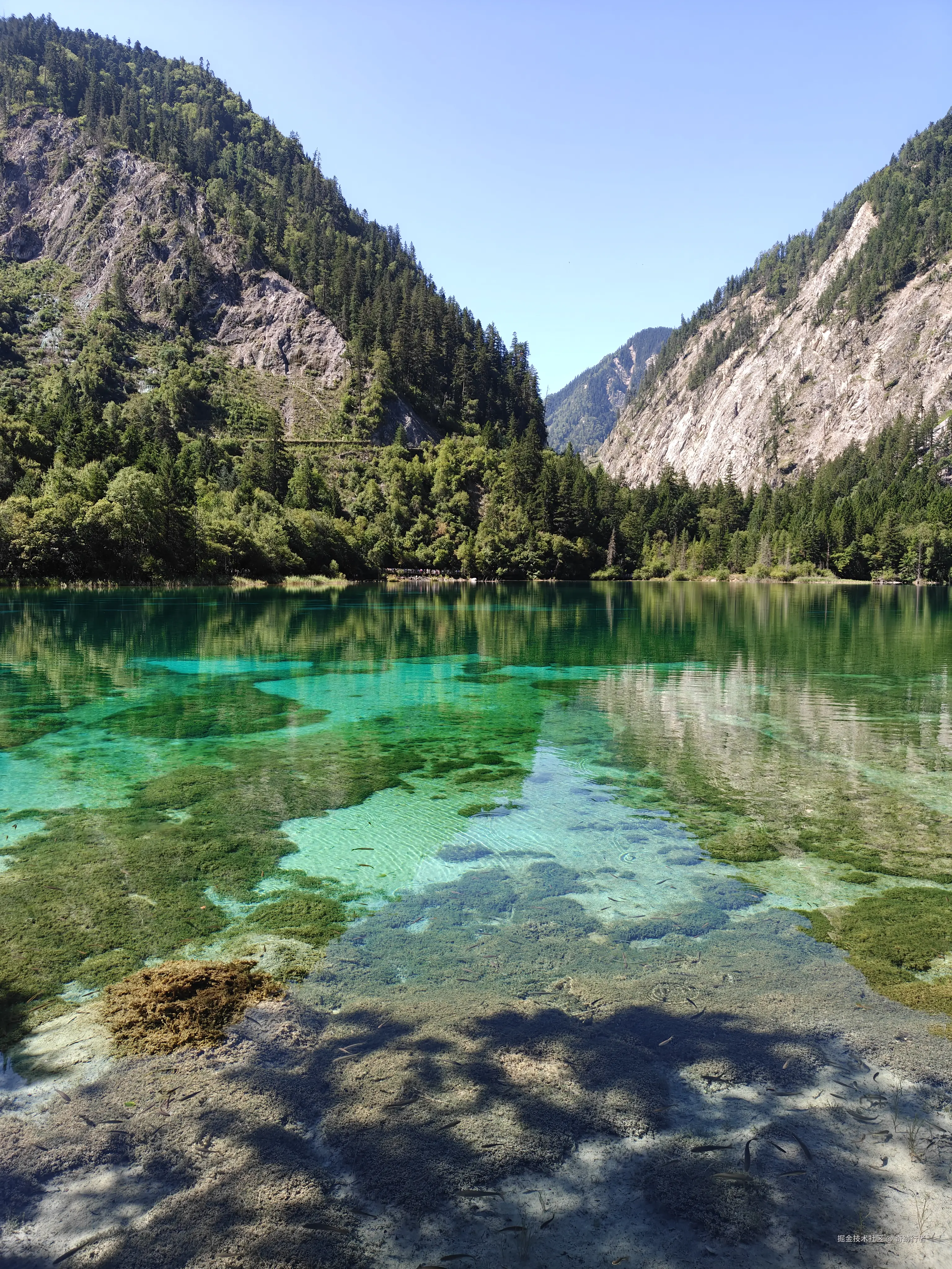 奇跡行者于2025-08-18 14:48发布的图片