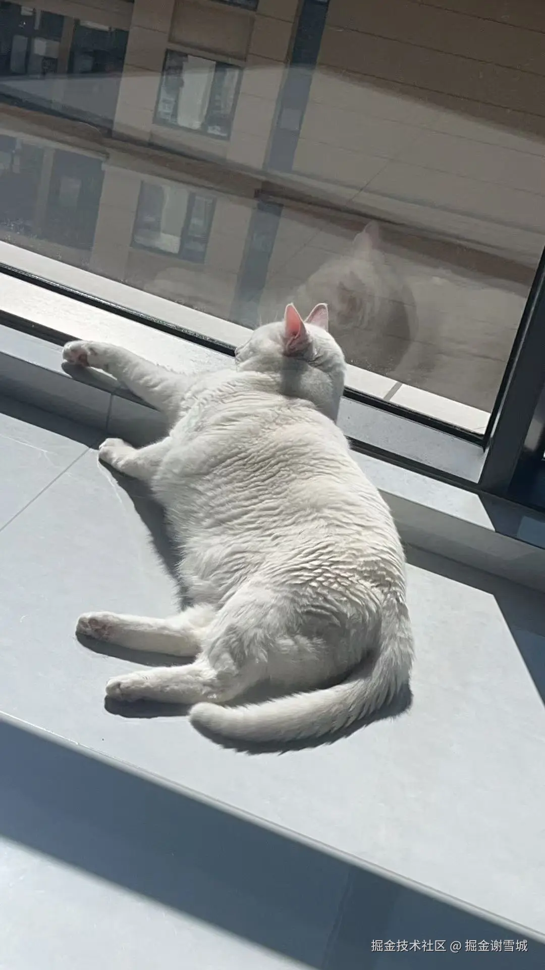 掘金谢雪城于2026-02-04 14:13发布的图片