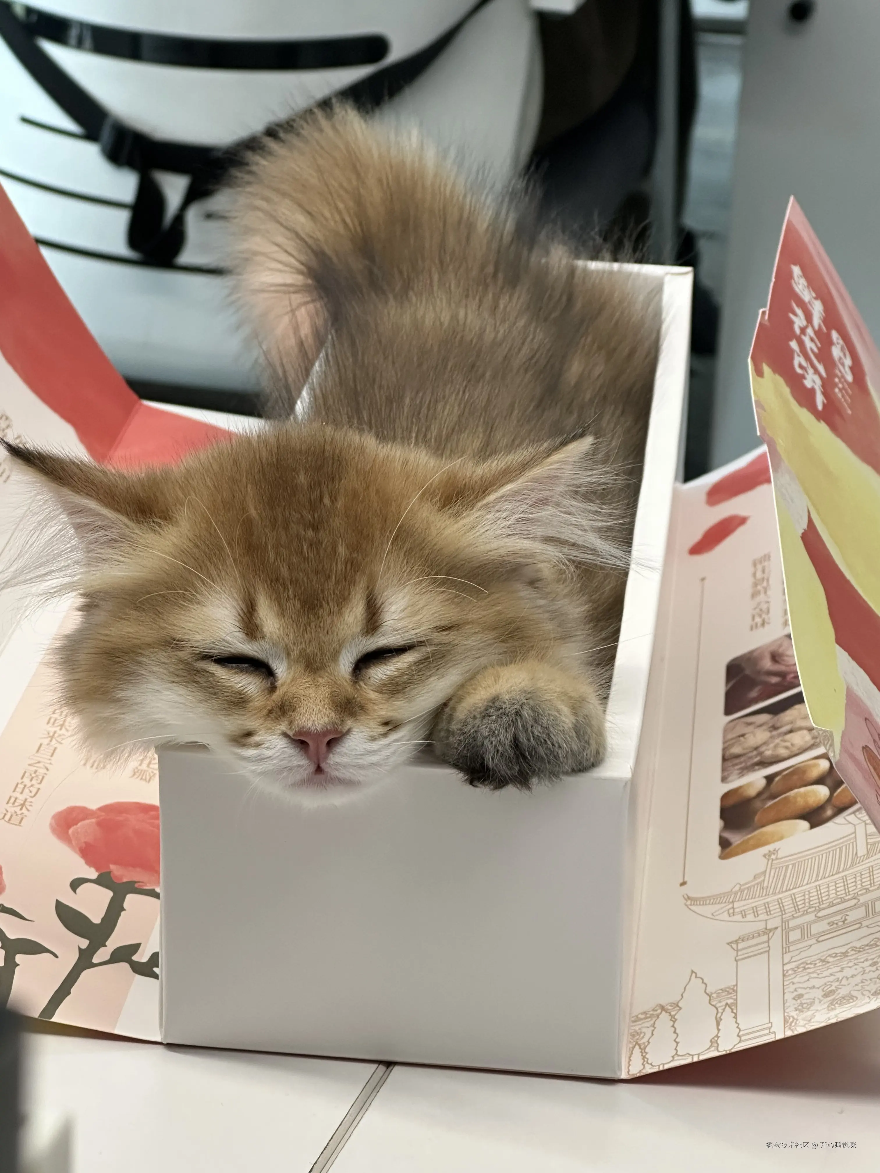 开心睡觉咪于2025-08-18 14:22发布的图片