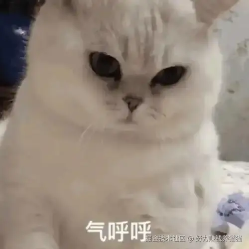 努力赚钱养猫猫于2024-11-13 03:27发布的图片