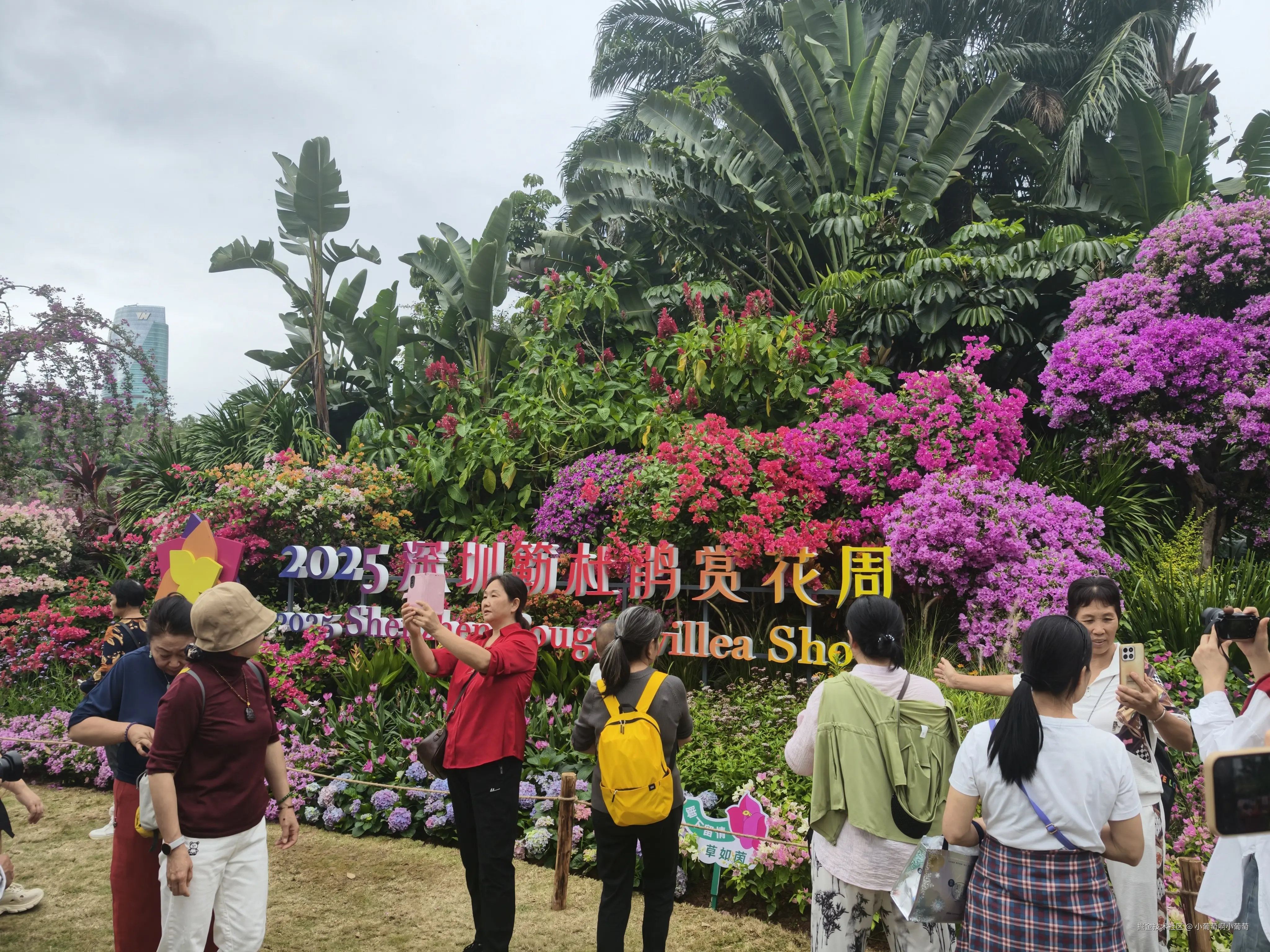 小葡萄啊小葡萄于2025-11-07 15:11发布的图片