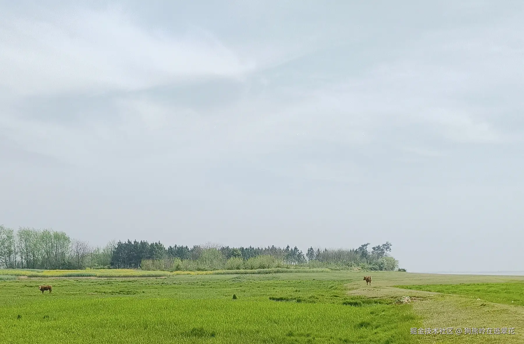 狗熊岭在逃翠花于2025-04-07 13:34发布的图片