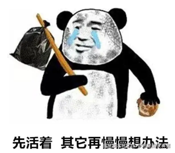 梦想是回家养猪于2025-11-20 14:55发布的图片