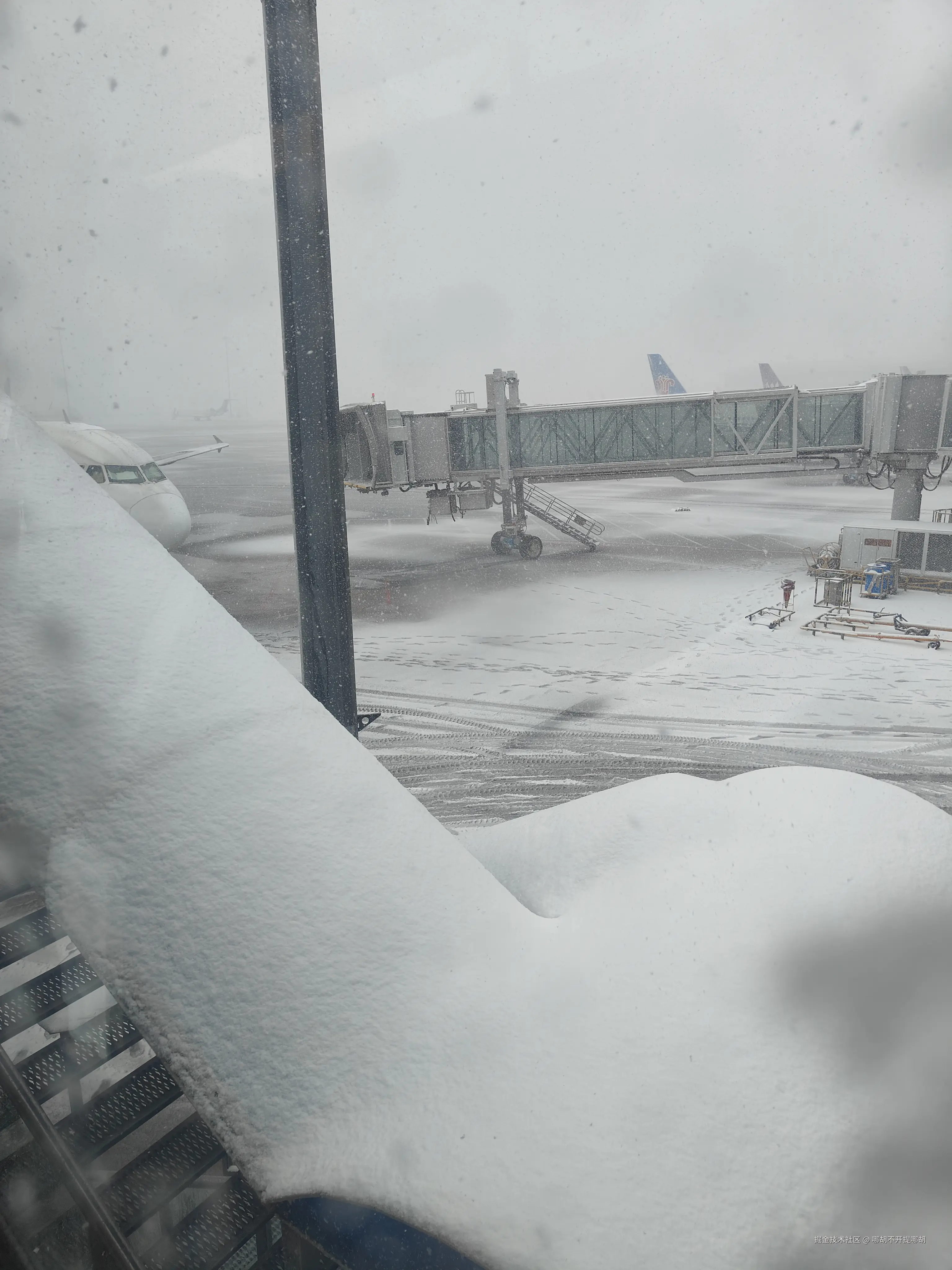 哪胡不开提哪胡于2025-03-03 10:56发布的图片