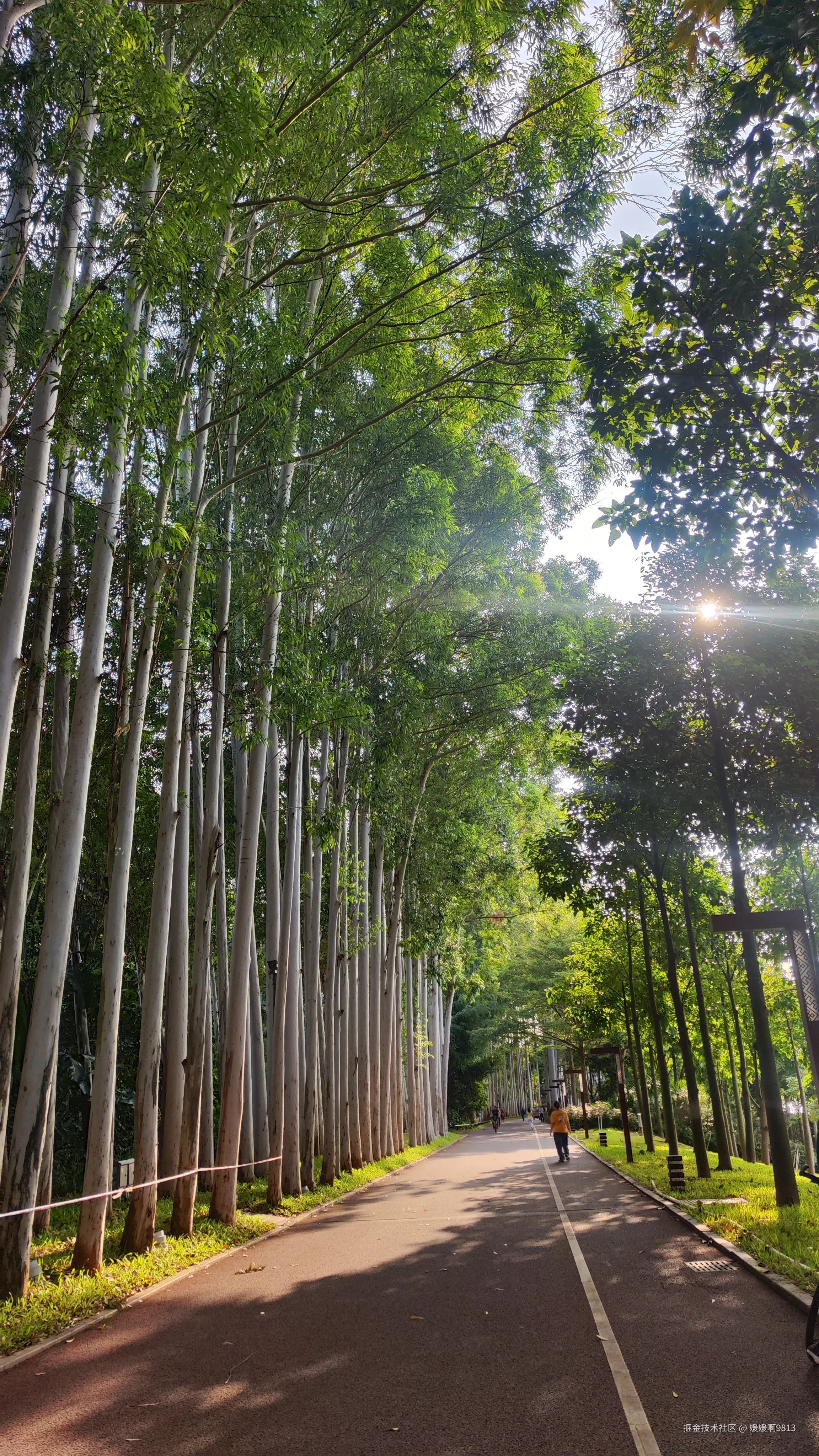 媛媛啊9813于2024-10-21 07:22发布的图片