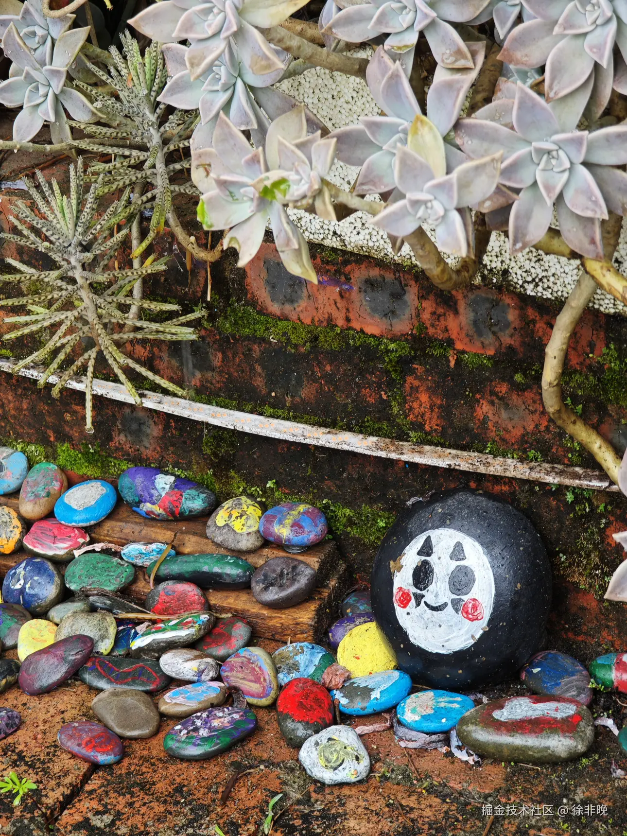 徐非晚于2024-12-03 06:37发布的图片