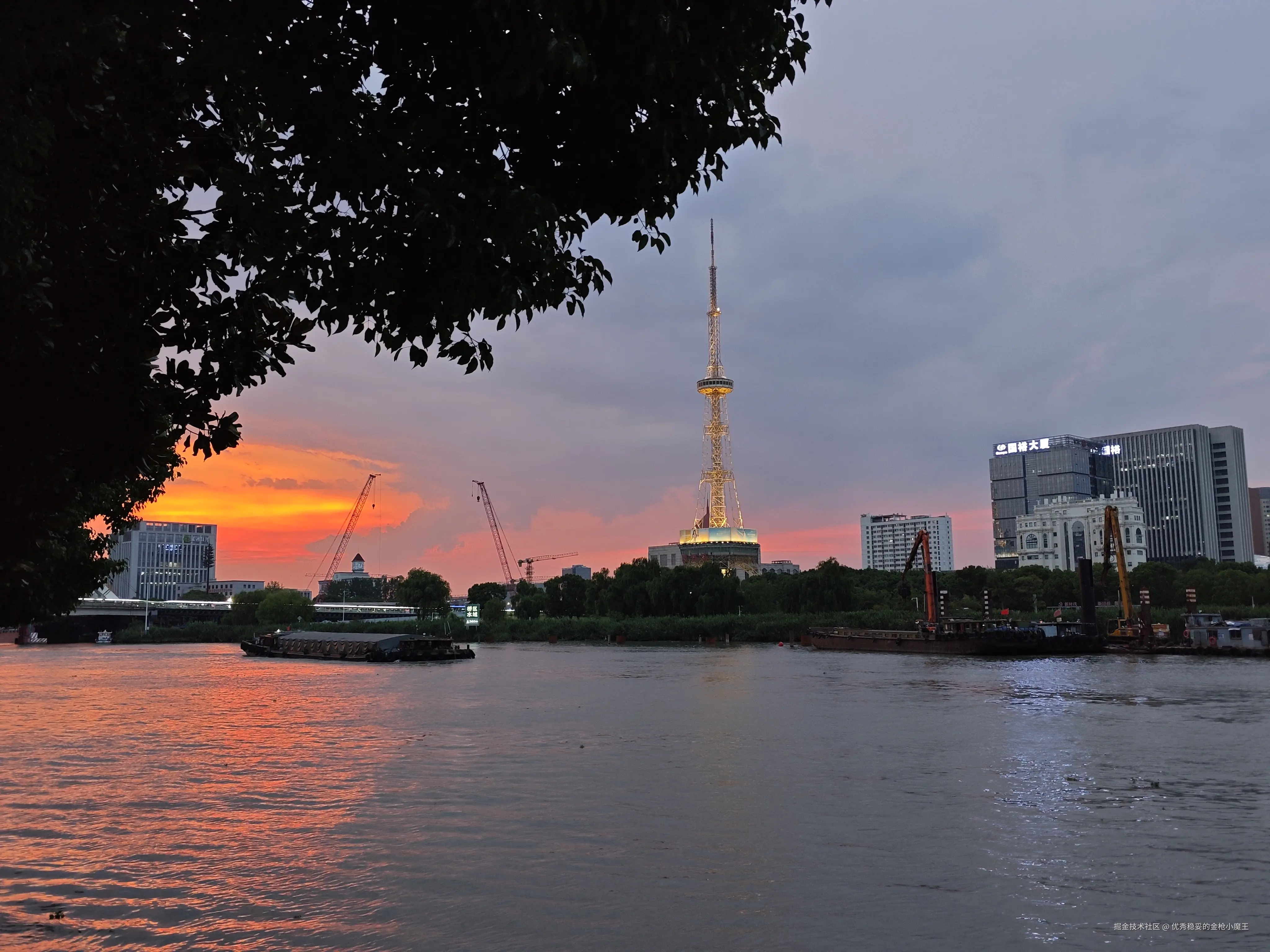 优秀稳妥的金枪小魔王于2025-08-21 11:18发布的图片