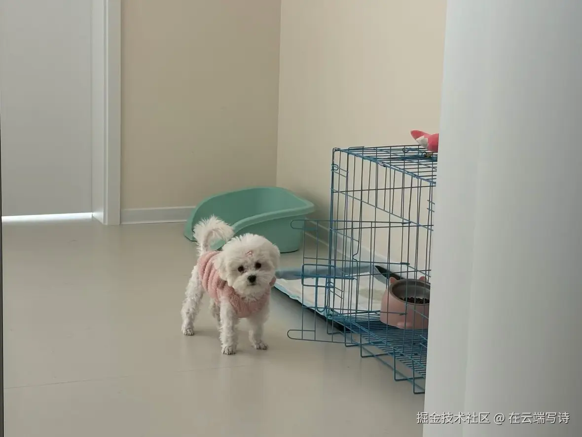 在云端写诗于2024-10-28 19:19发布的图片