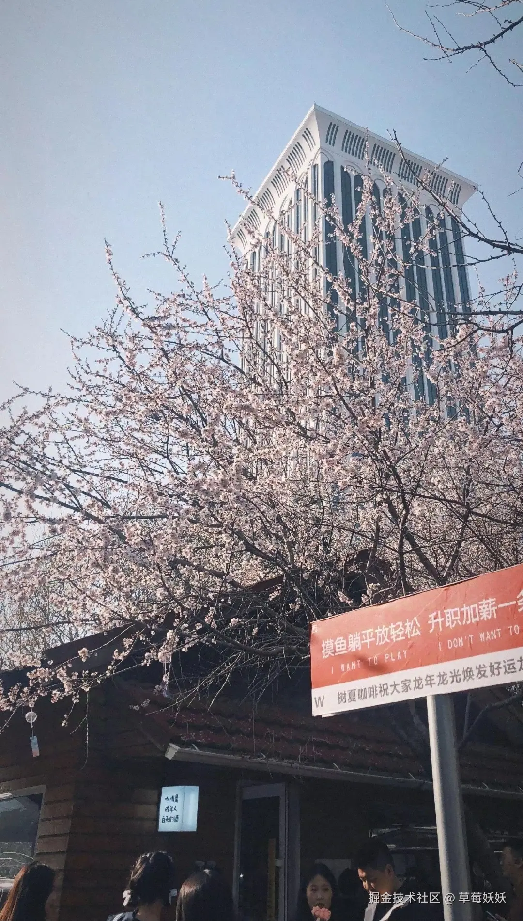 草莓妖妖于2024-10-08 09:00发布的图片