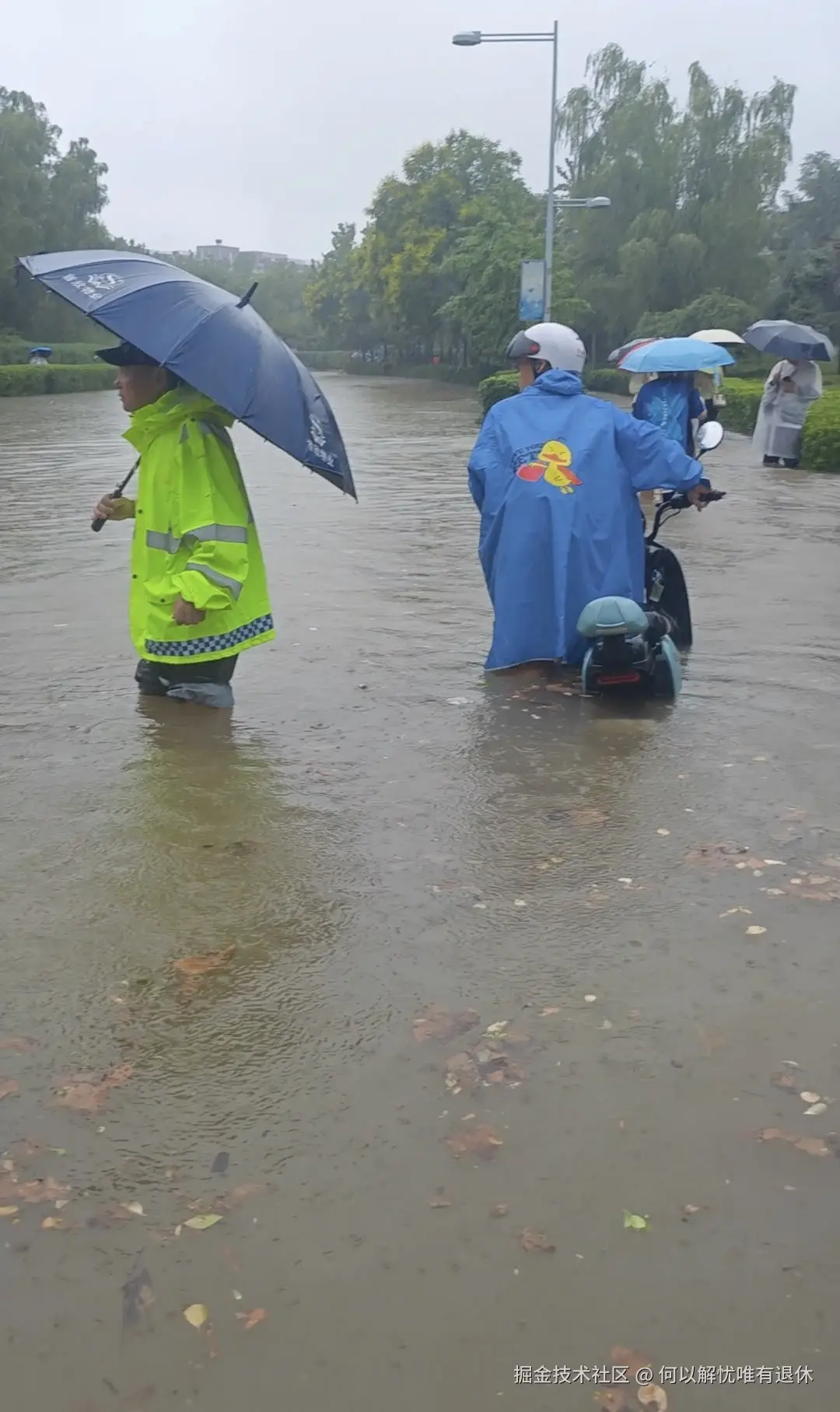 何以解忧唯有退休于2024-07-30 09:54发布的图片