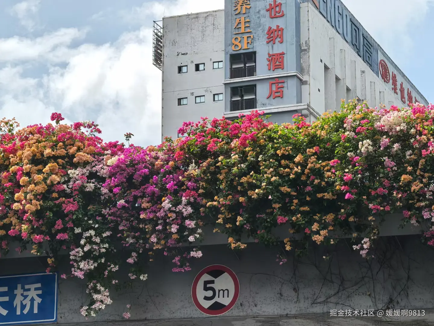 媛媛啊9813于2024-10-18 22:47发布的图片