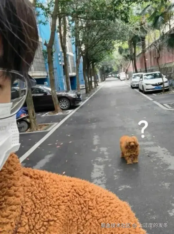 上过度的发条于2025-10-23 02:57发布的图片