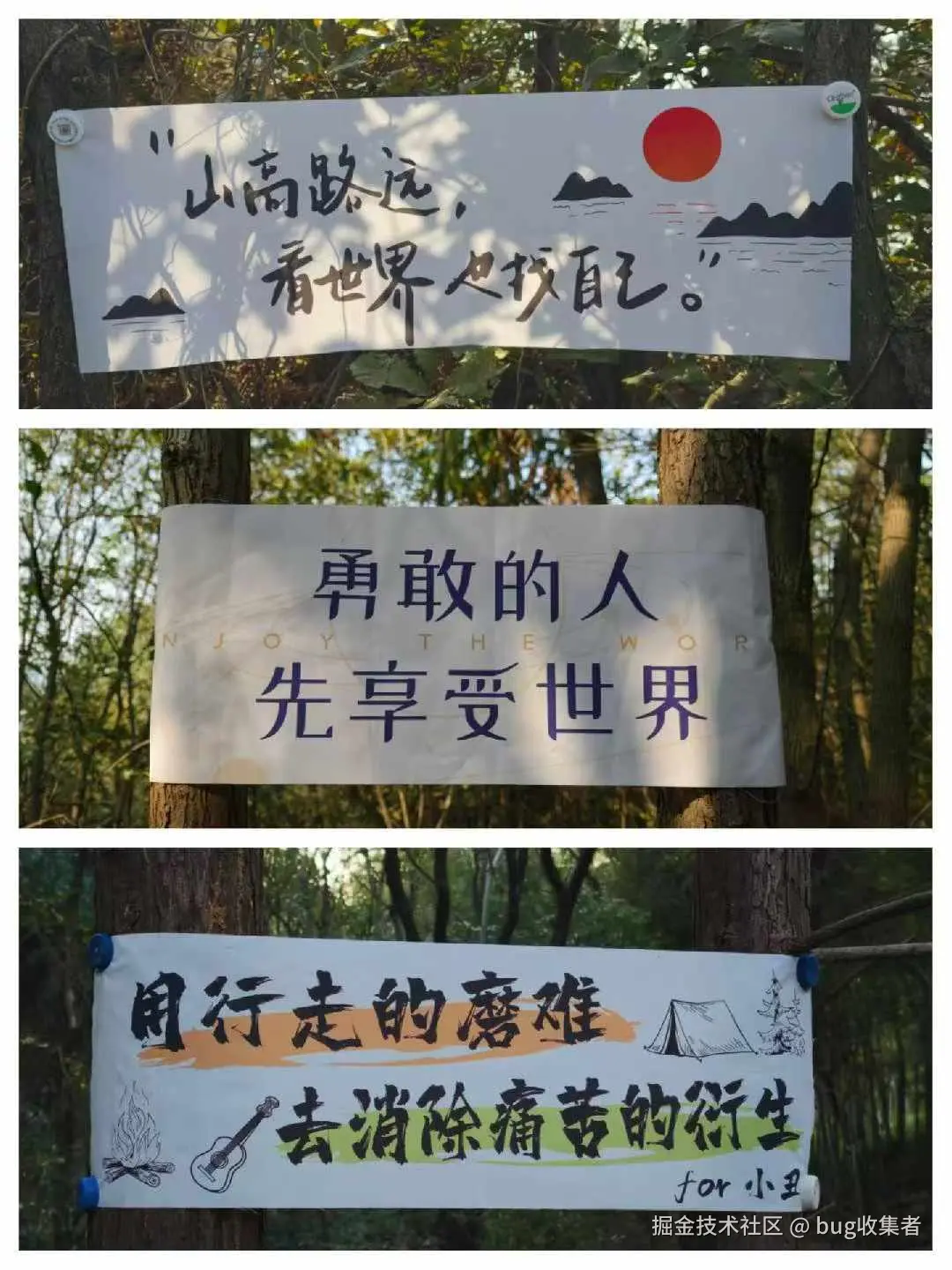 bug收集者于2025-11-24 11:04发布的图片