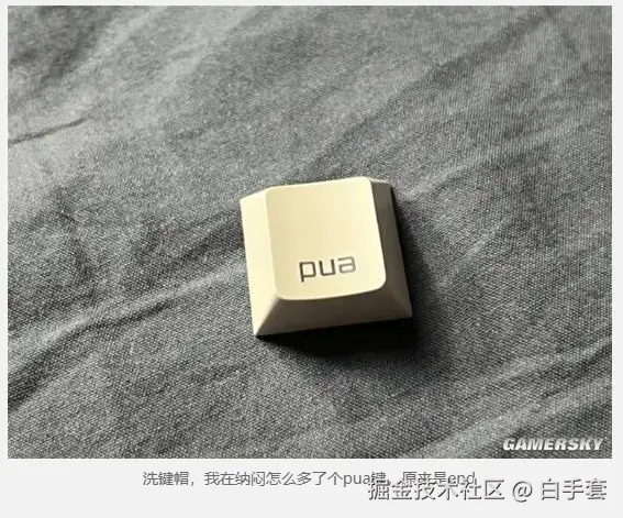 白手套于2026-02-05 10:20发布的图片