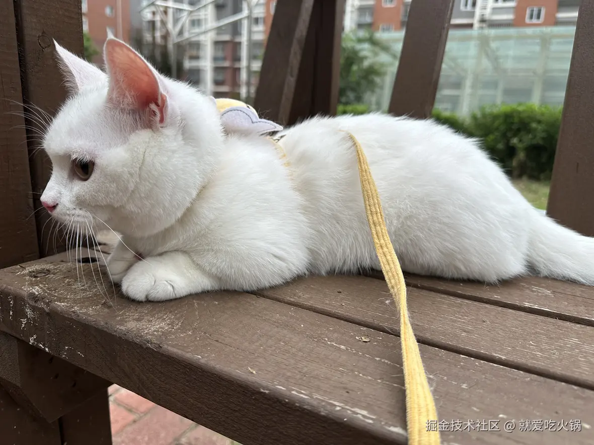 就爱吃火锅于2025-07-21 14:06发布的图片