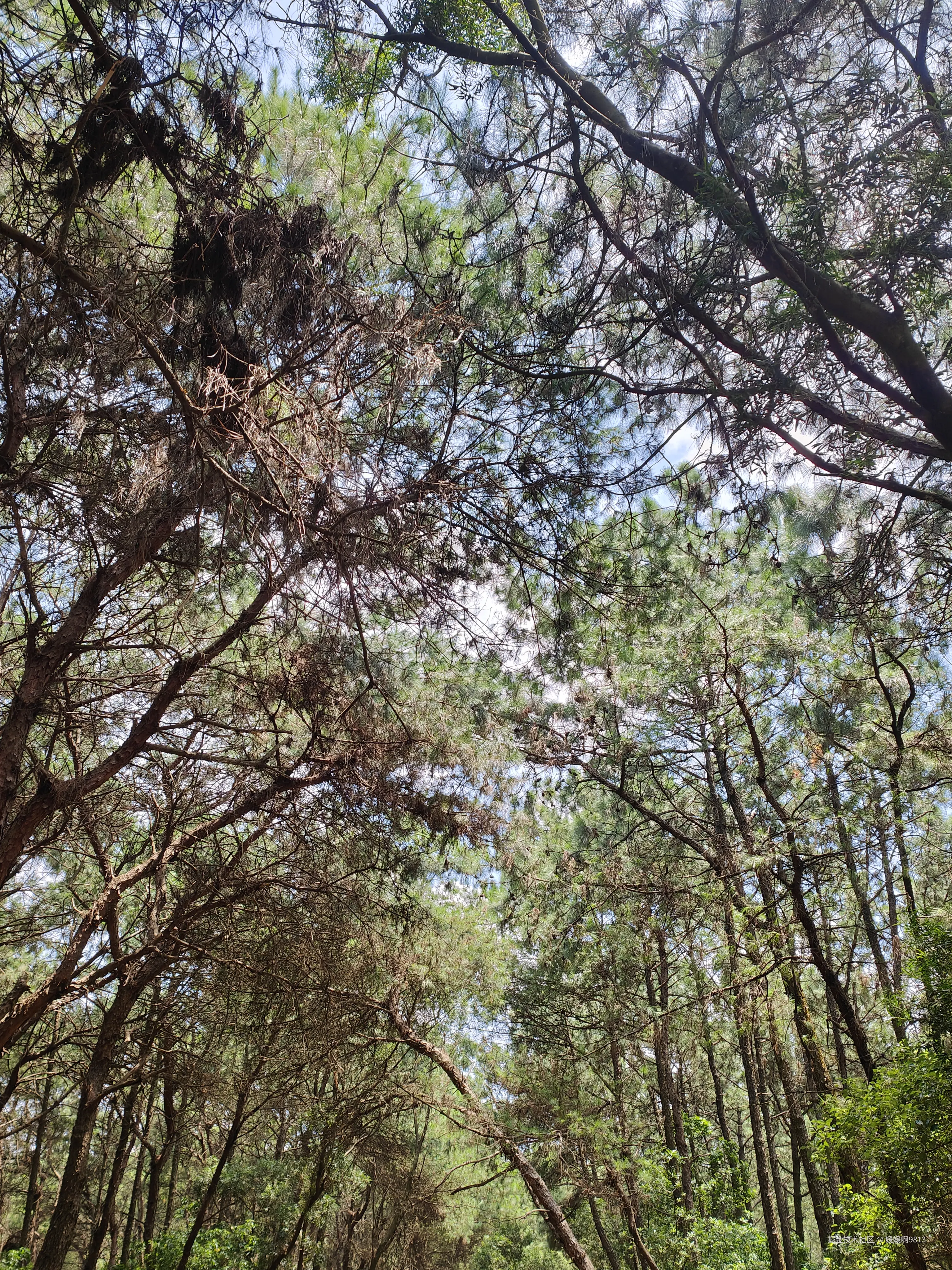 媛媛啊9813于2025-08-23 19:52发布的图片