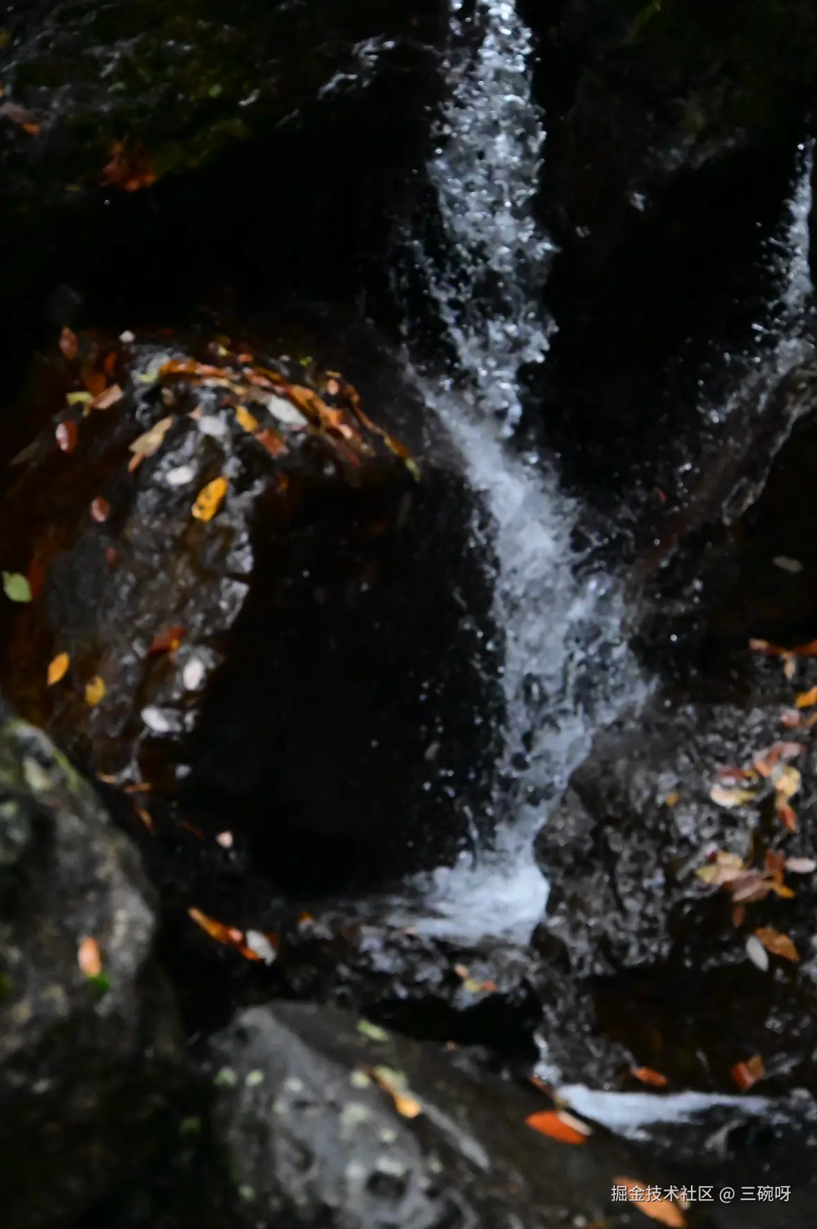 三碗呀于2024-10-28 14:26发布的图片