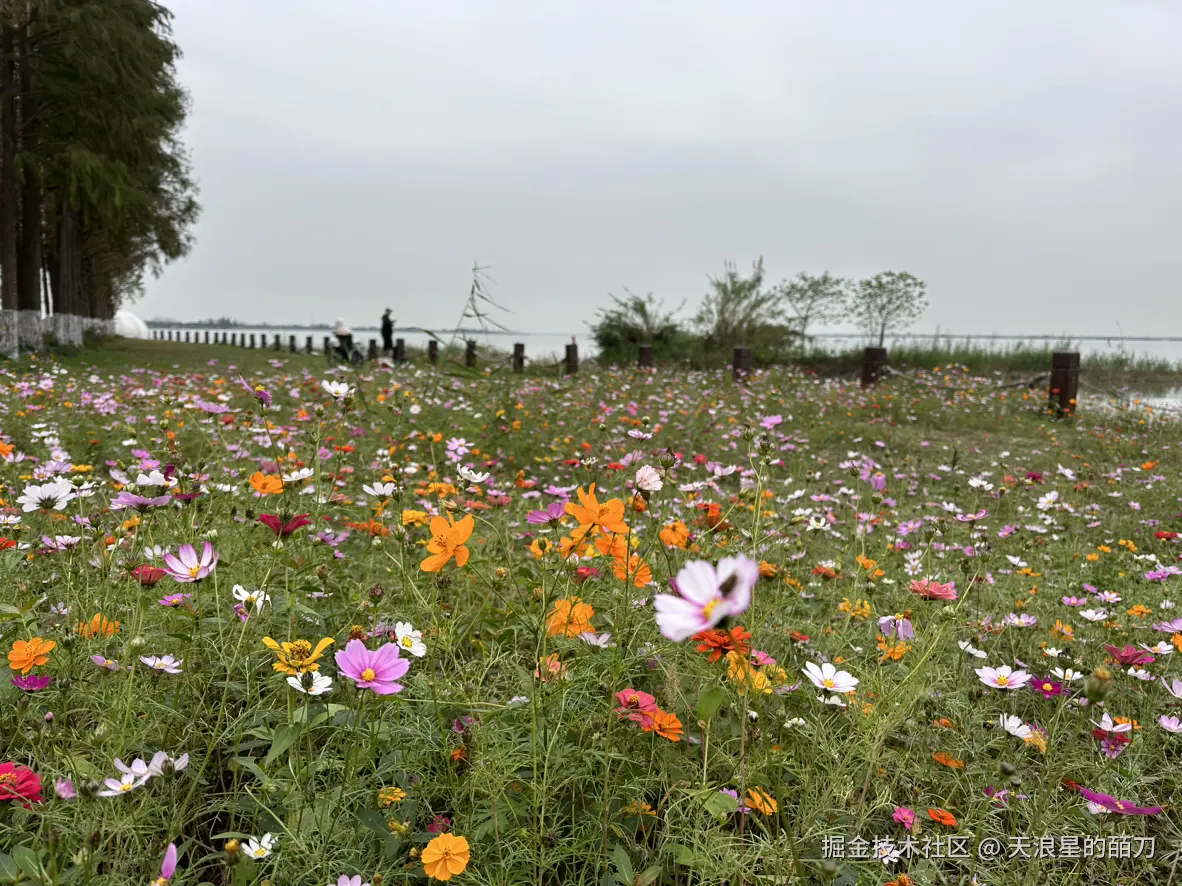 天浪星的皕刀于2024-11-21 07:12发布的图片